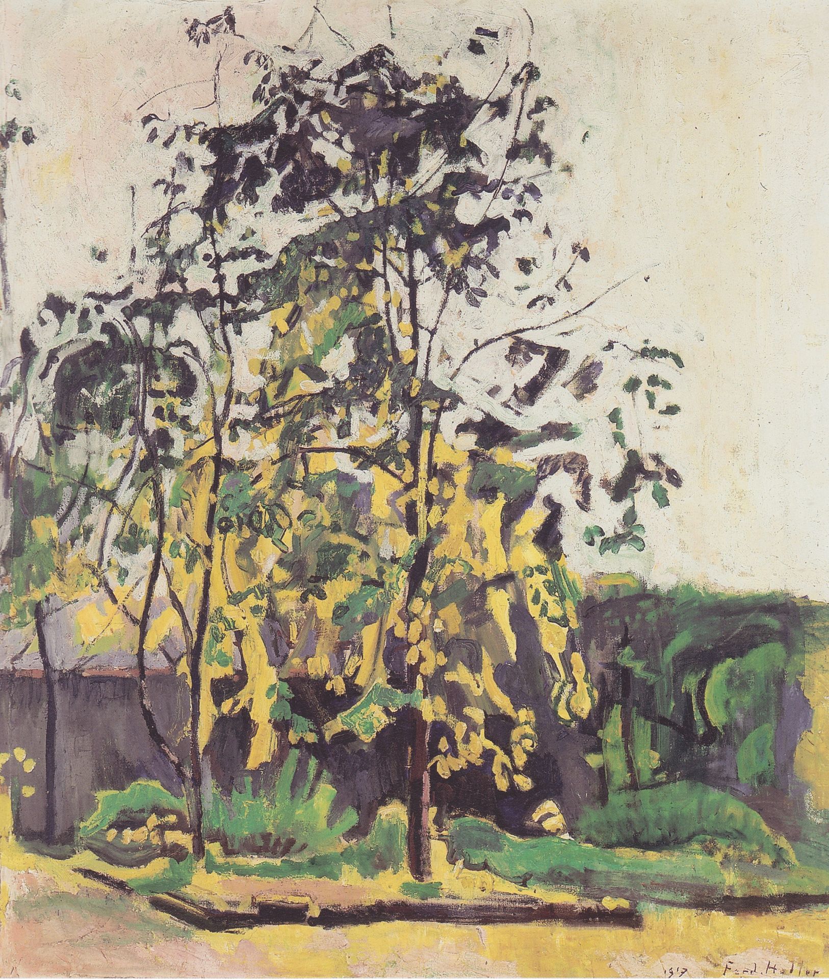 Tree in the workshop garden by Ferdinand Hodler