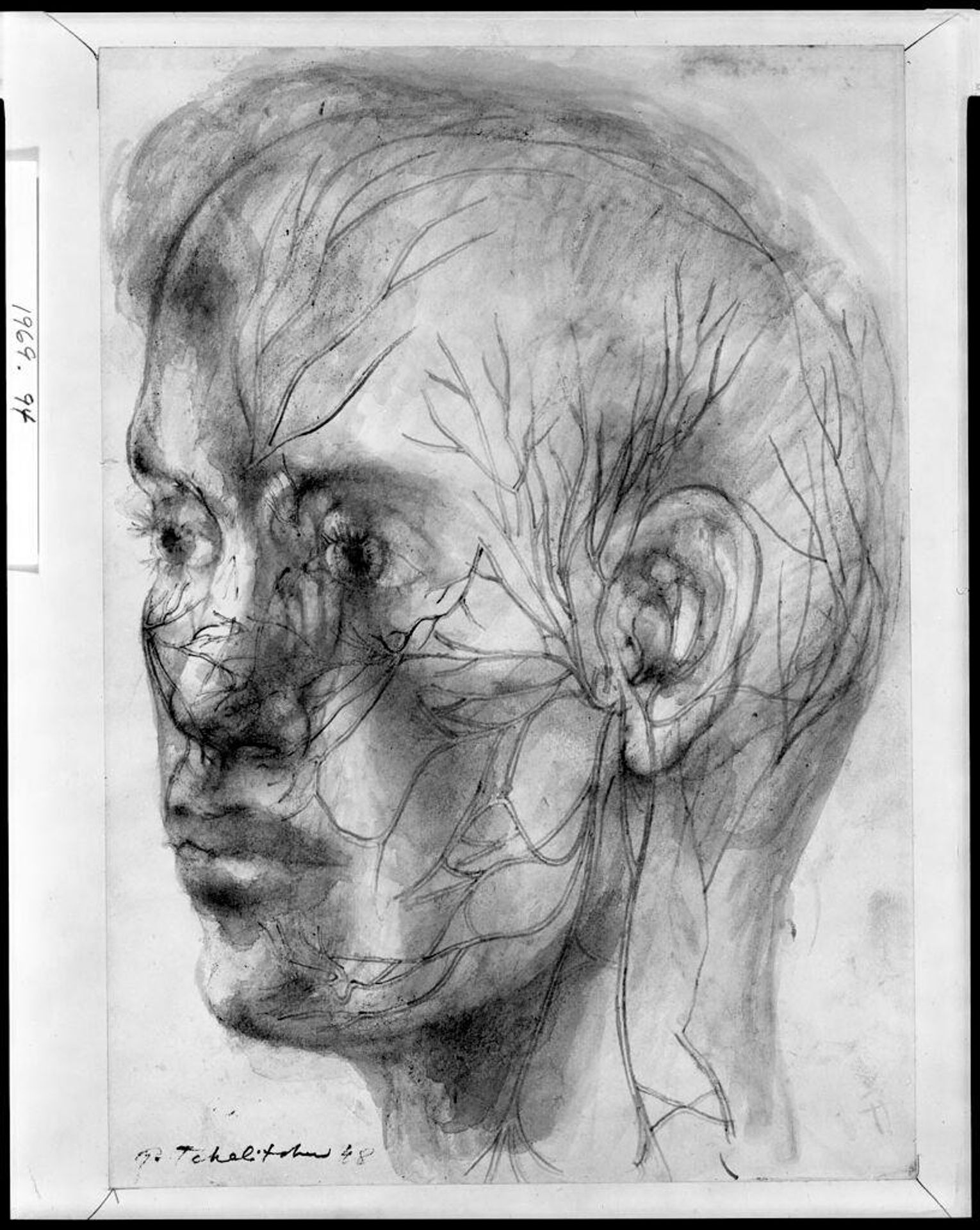 Head of a Man (Study for "Tree of Life"?) by Pavel Tchelitchew
