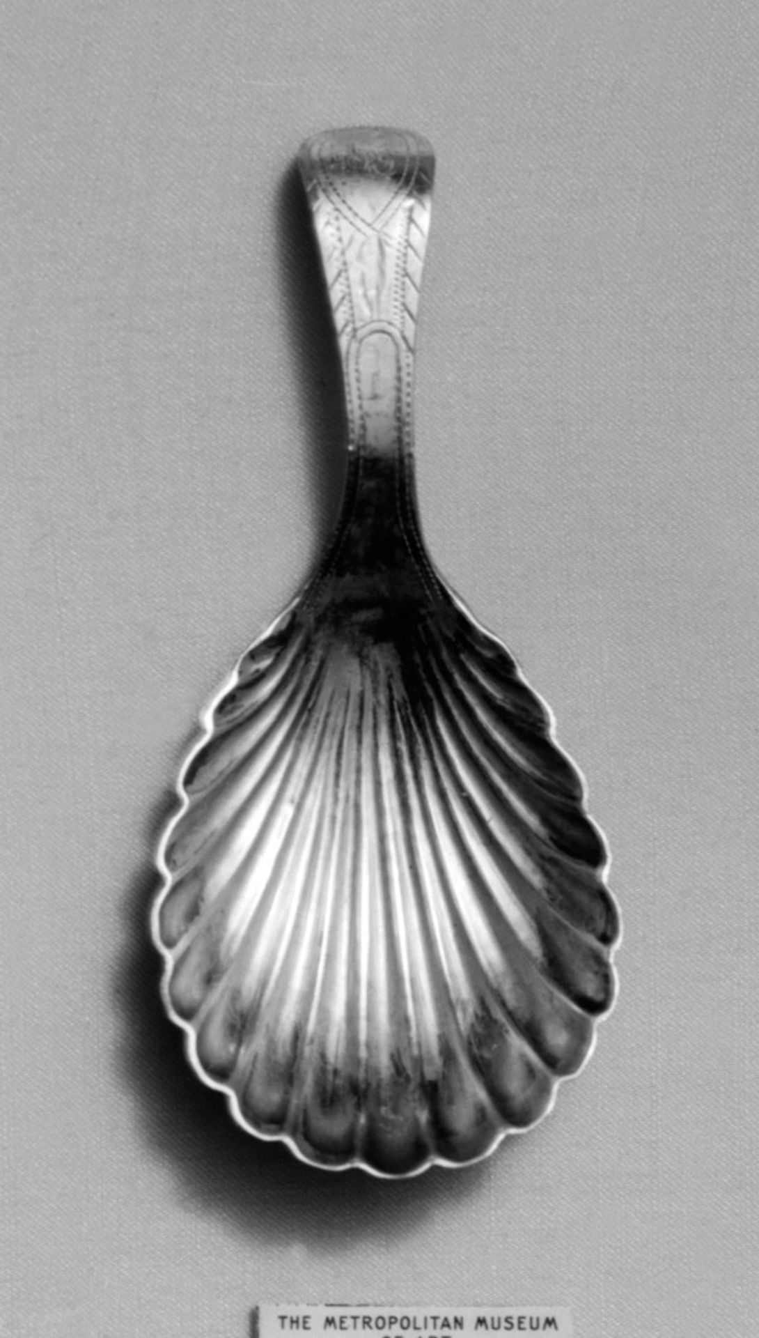 Spoon caddy by T. W., London