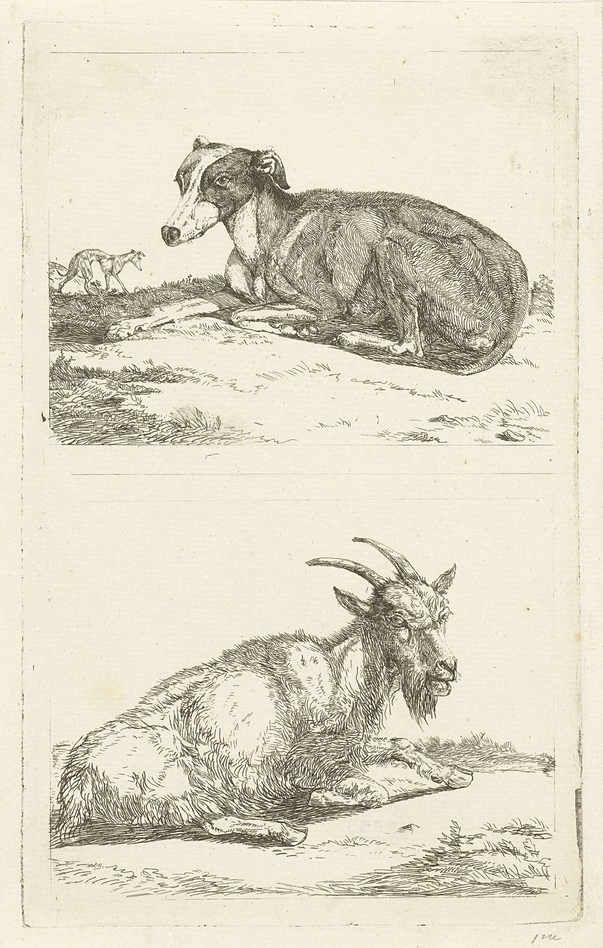 Hazewindhonden en geit by Jan Dasveldt