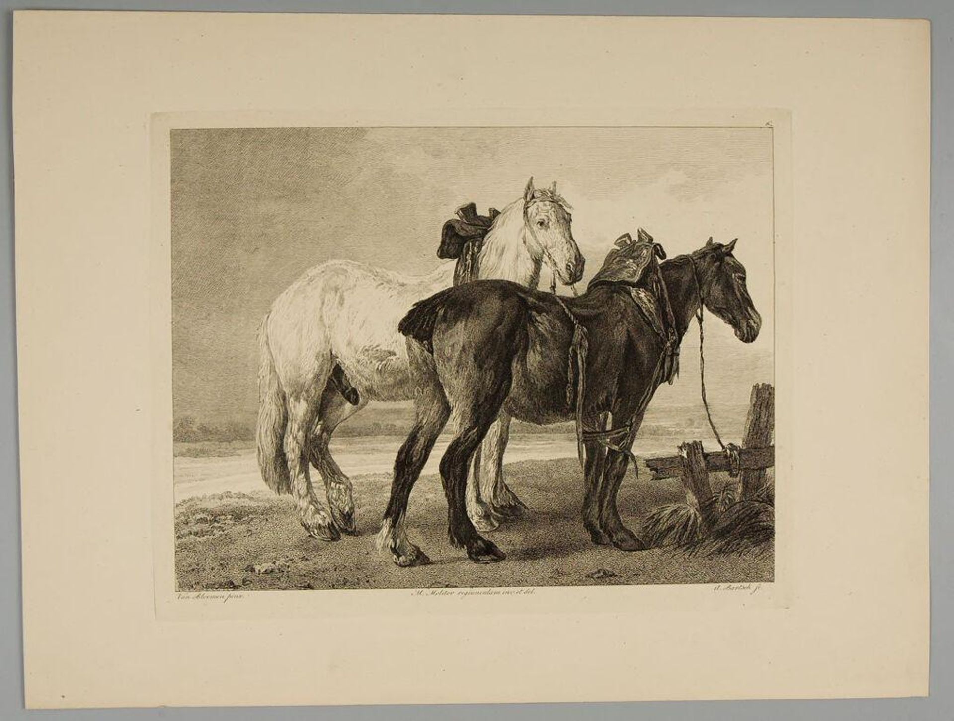 Horses by Adam von Bartsch