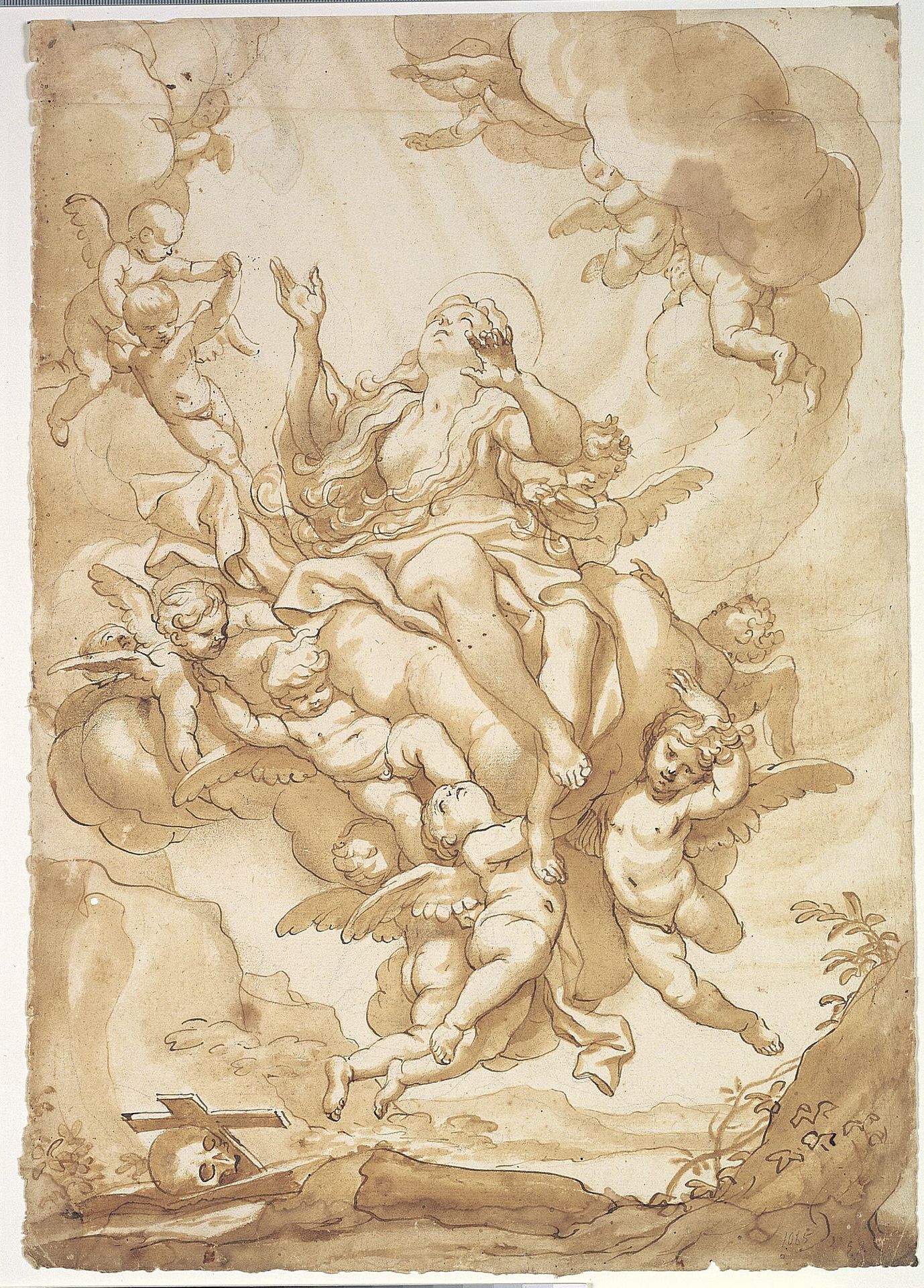 Ascension of St Mary Magdalen by Domenico Piola