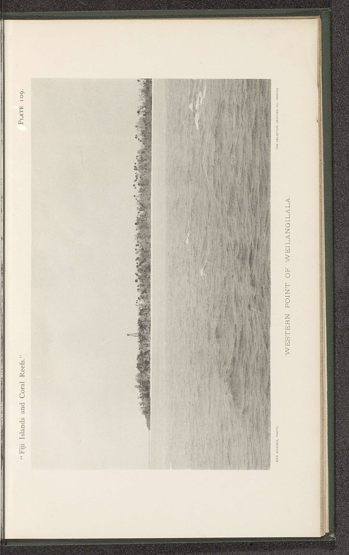 Gezicht op Wailagi Lala by Maximilian Agassiz