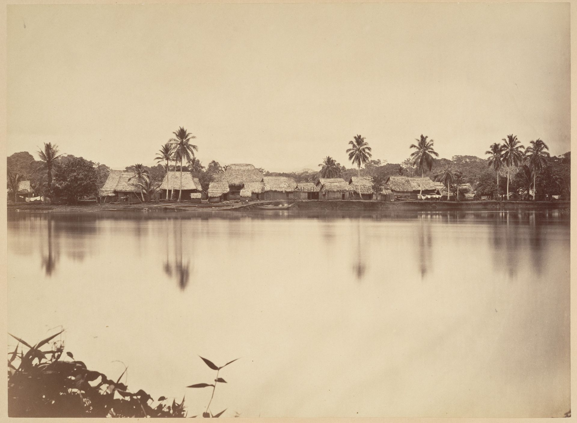 Tropical Scenery, Santa Maria del Real, Darien by John Moran