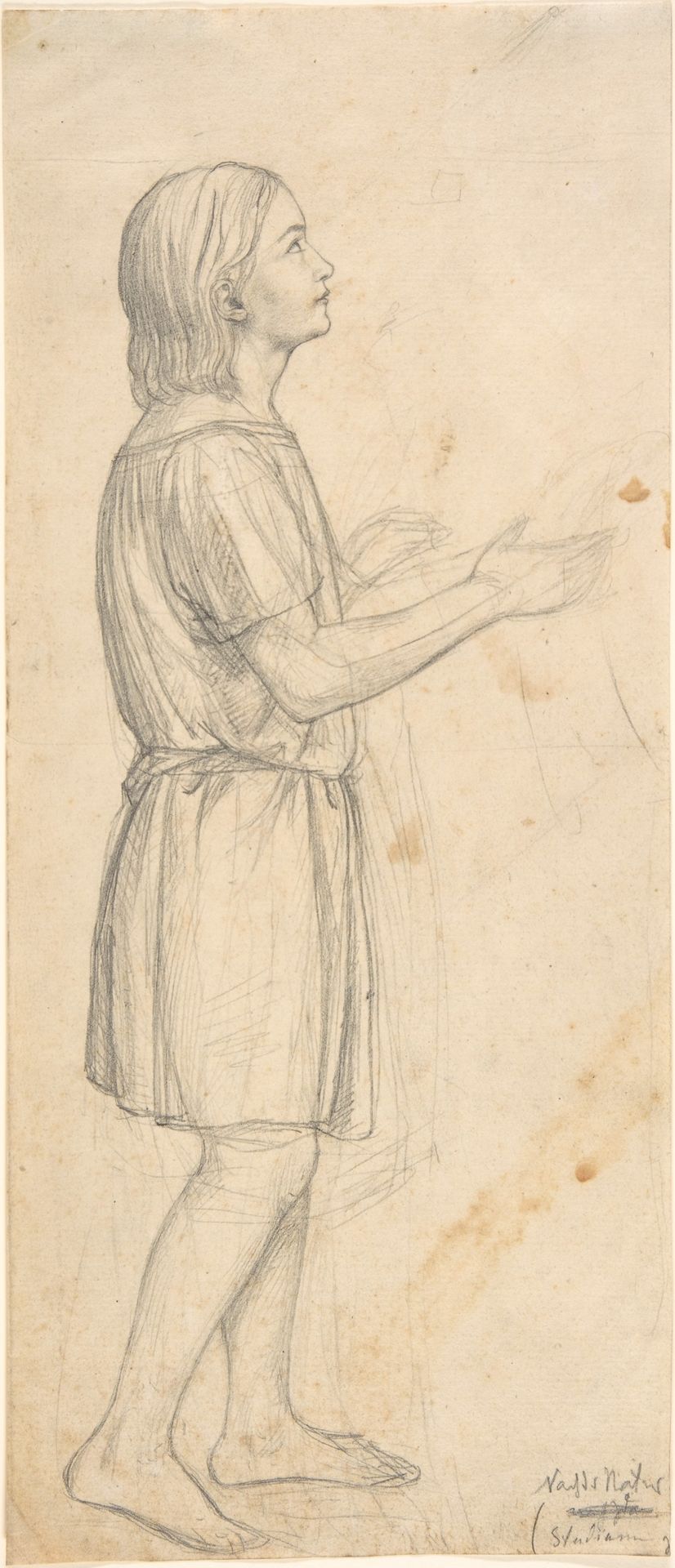 Standing Youth, Looking Up by Otto Speckter