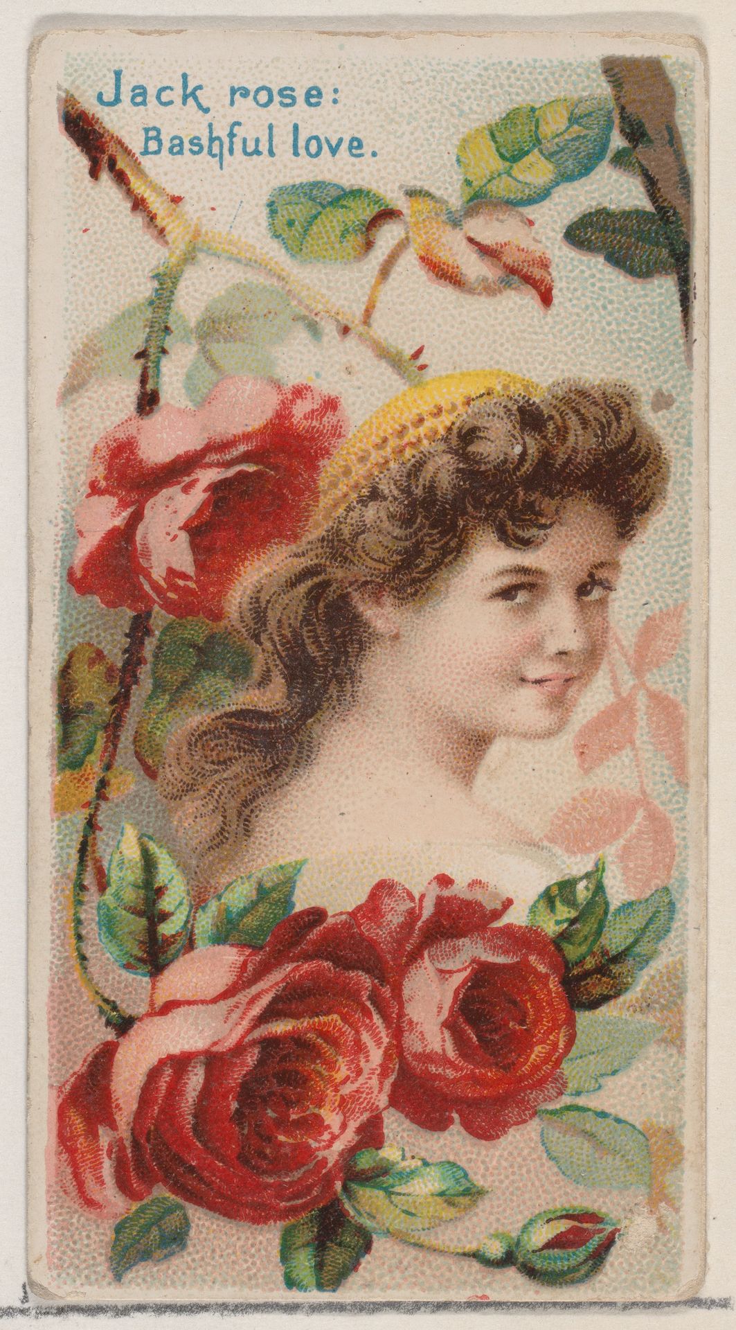 Jack Rose: Bashful Love, from the series Floral Beauties and Language of Flowers (N75) for Duke brand cigarettes by American Tobacco Company