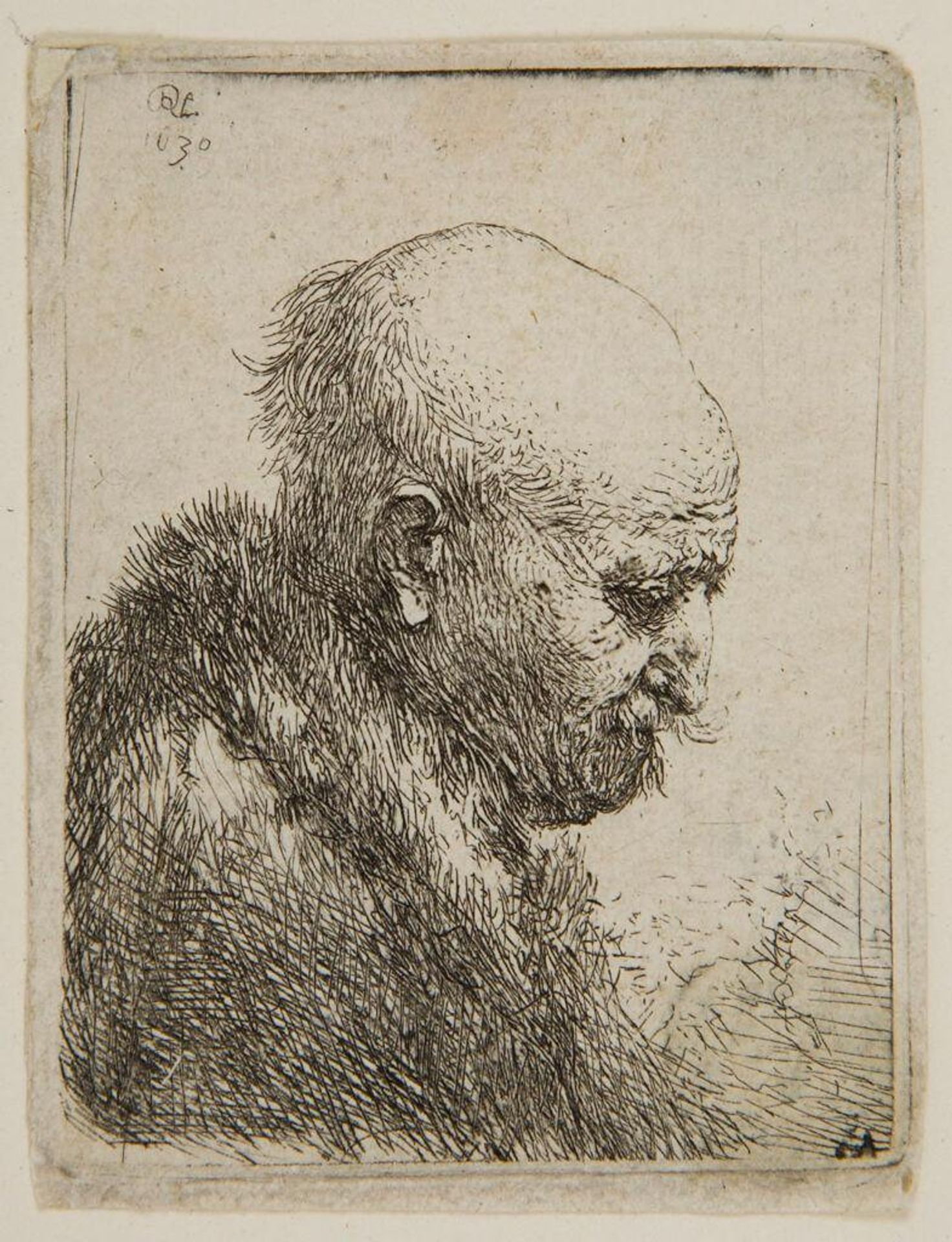 Bald-headed Man in Profile Right: Small Bust, the Artist's Father (?) by Rembrandt van Rijn