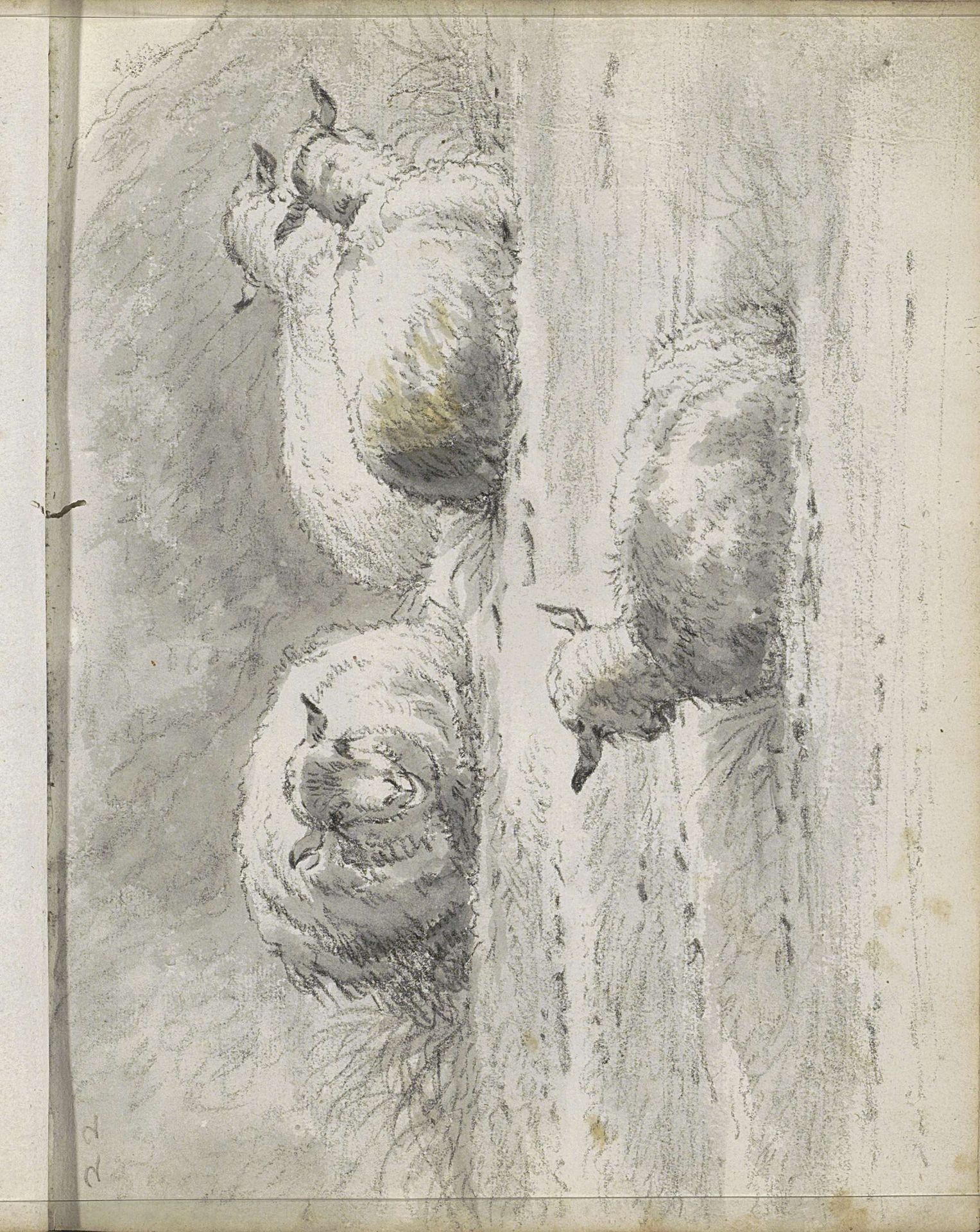 Liggende schapen aan de voet van een heuvel by Cornelis Saftleven