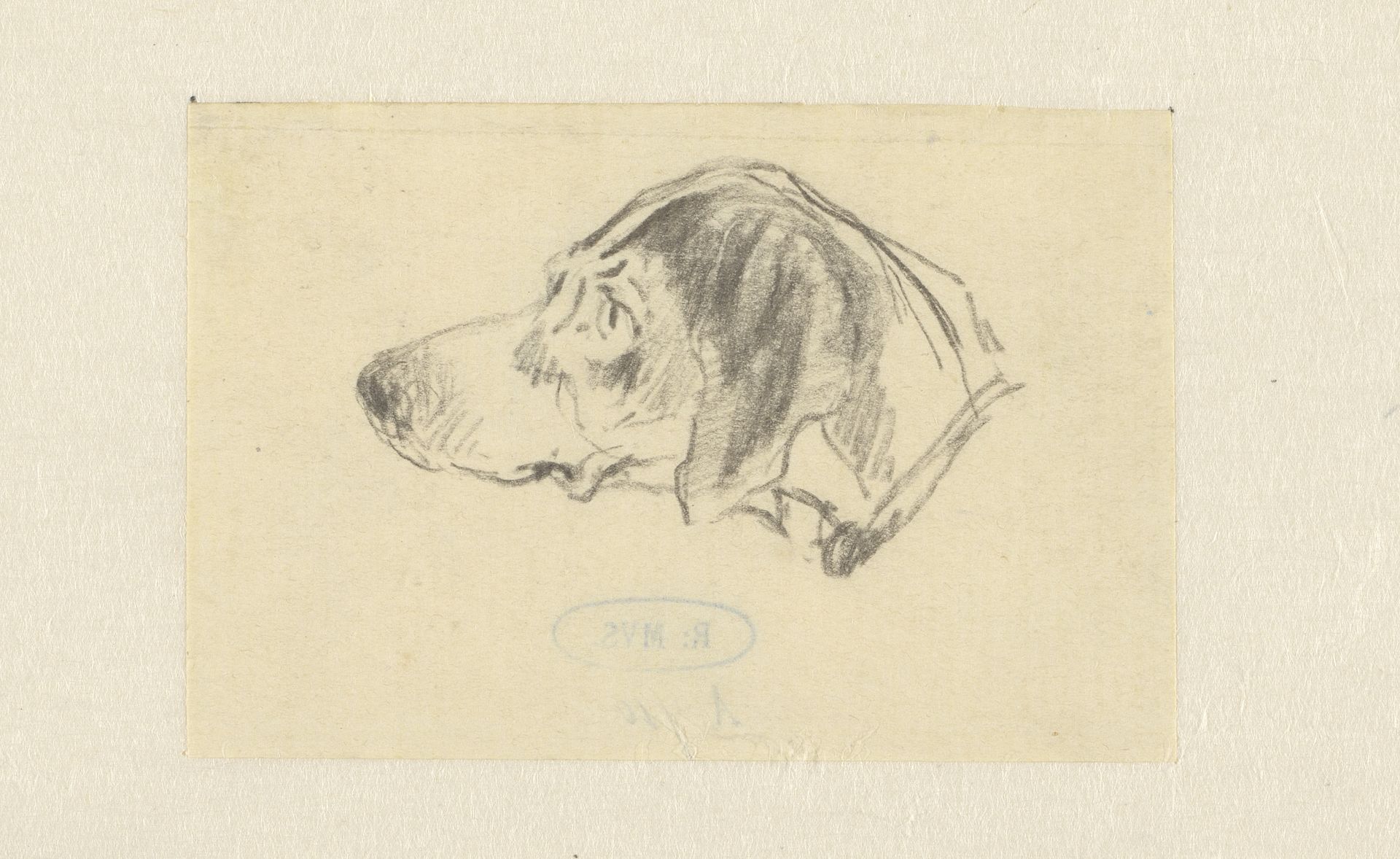 Kop van een jachthond, in profiel by Johan Daniël Koelman
