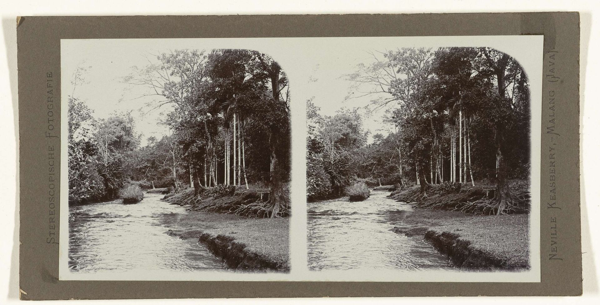 Bos en rivier landschap by Neville Keasberry