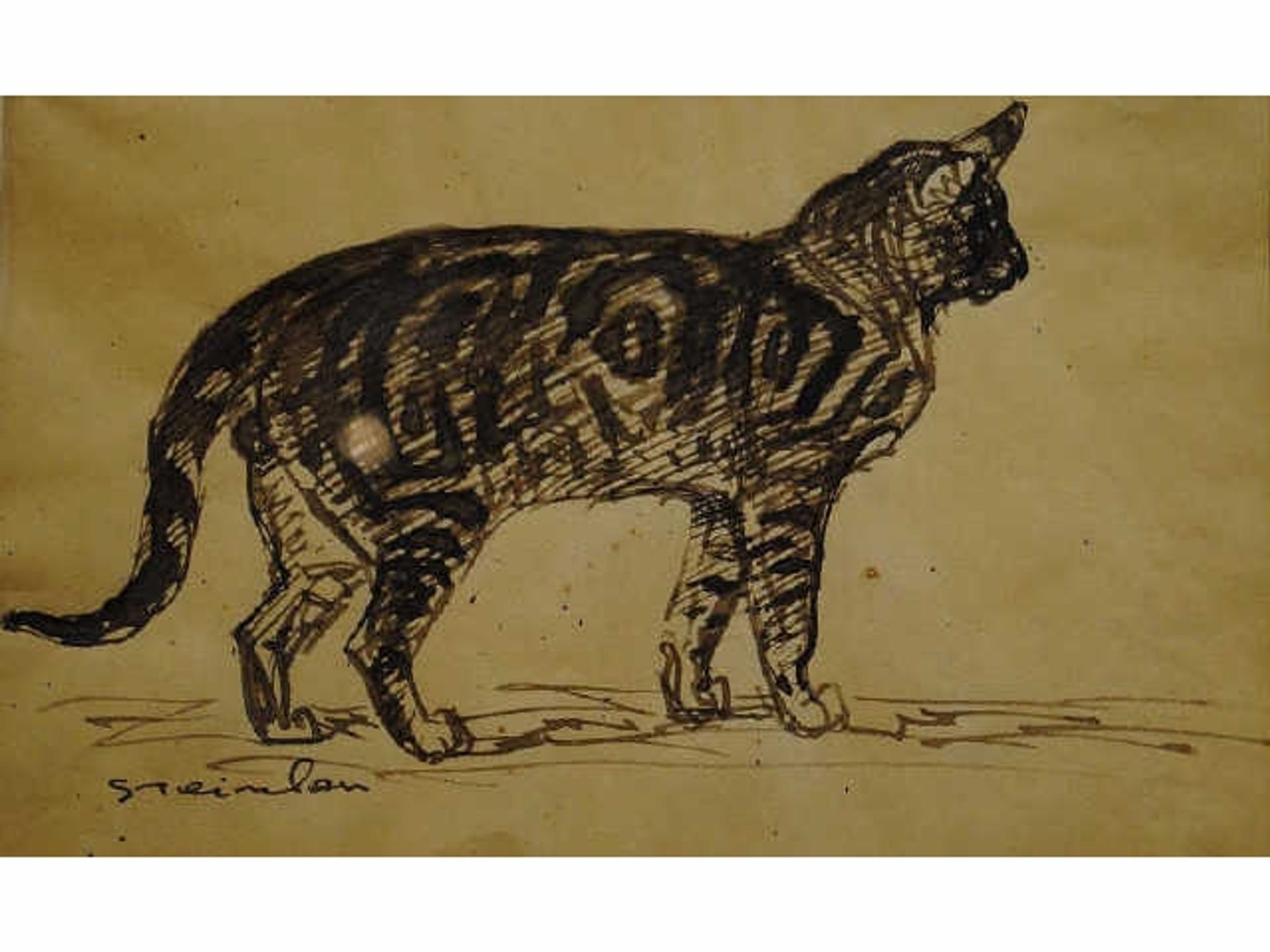 Cat by Théophile Alexandre Steinlen
