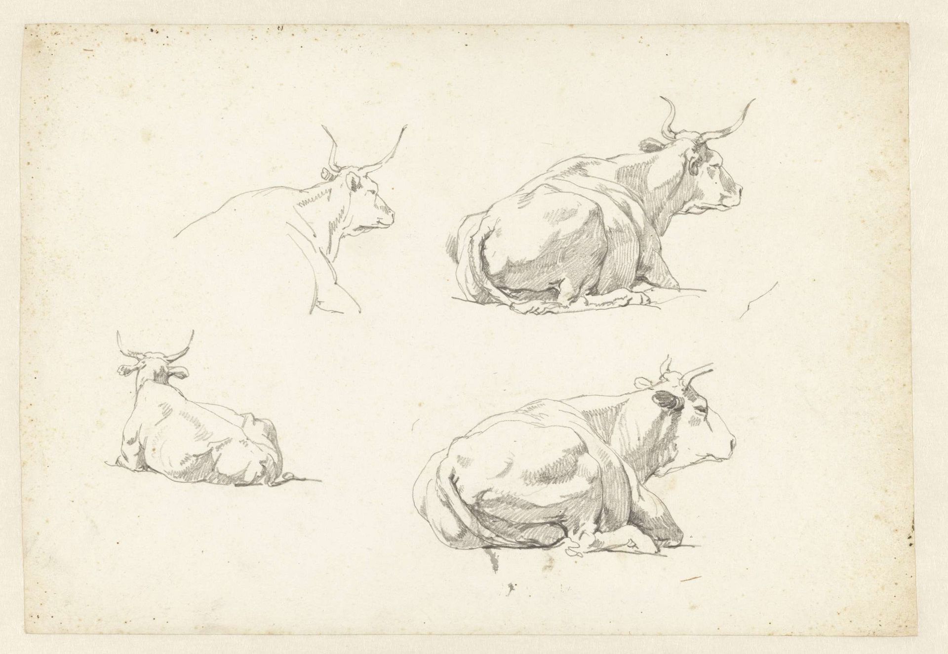 Vier studies van liggende koeien by Hendrik Voogd