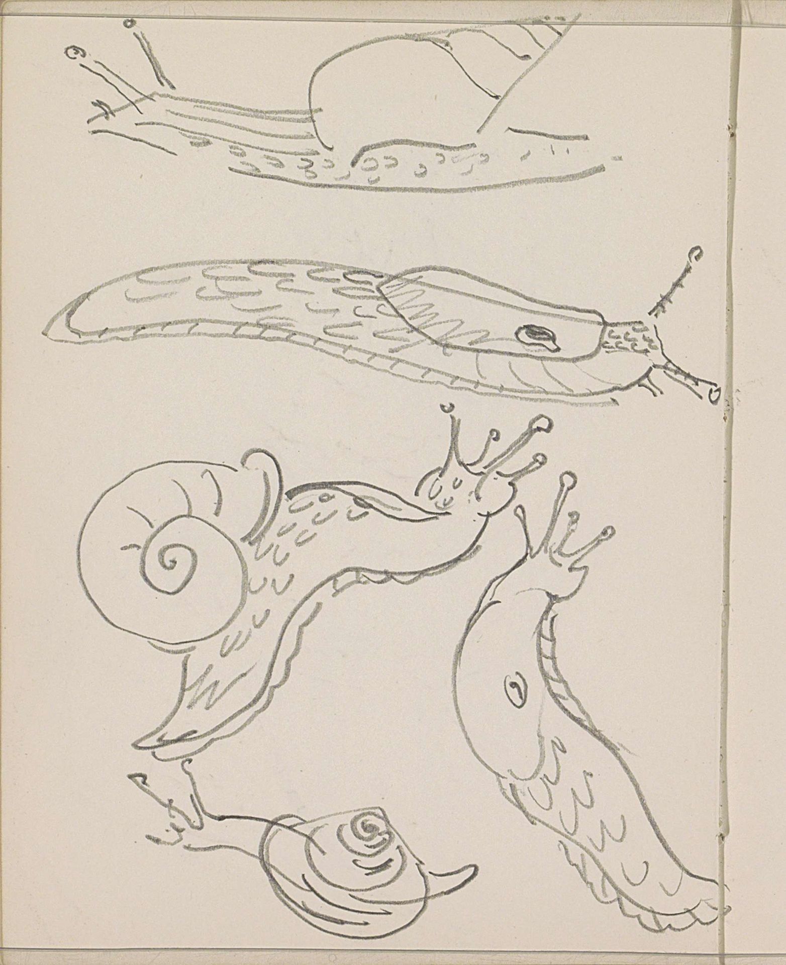 Slakken by Reijer Stolk
