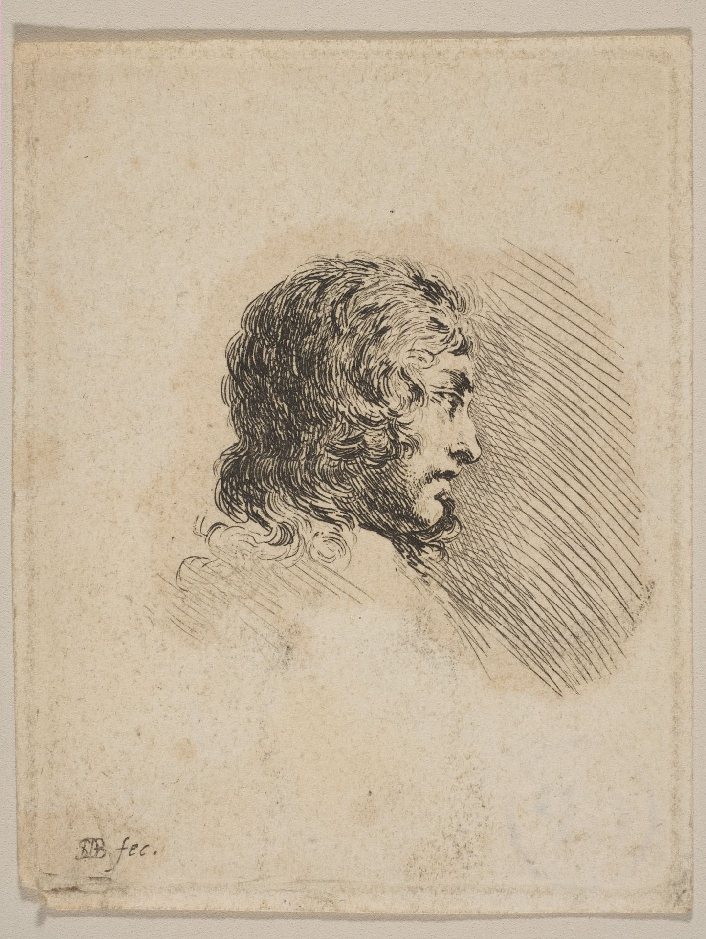 Head of a young man in profile, from "Various portraits" (Recueil de Diverses Piéces Servant à l'Art de Portraiture) by Stefano della Bella