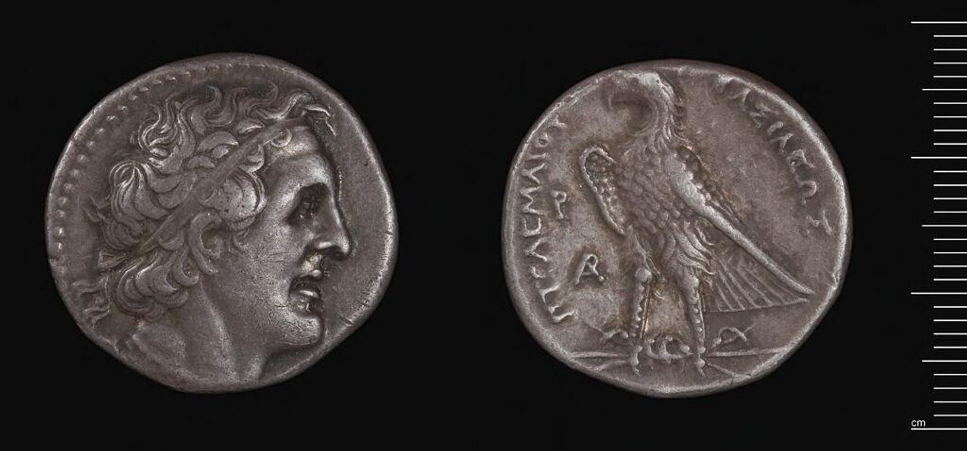 Tetradrachm of Ptolemy I by Ptolemy I Soter