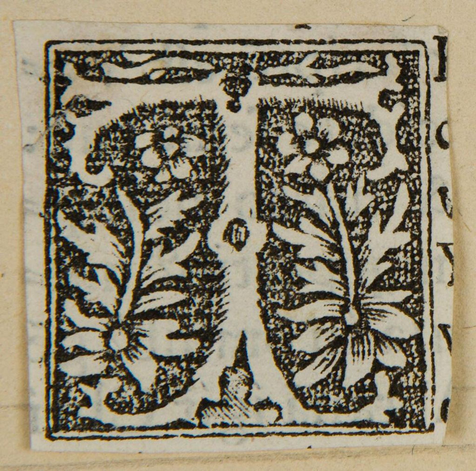 Capital Letter XI by Anonymous