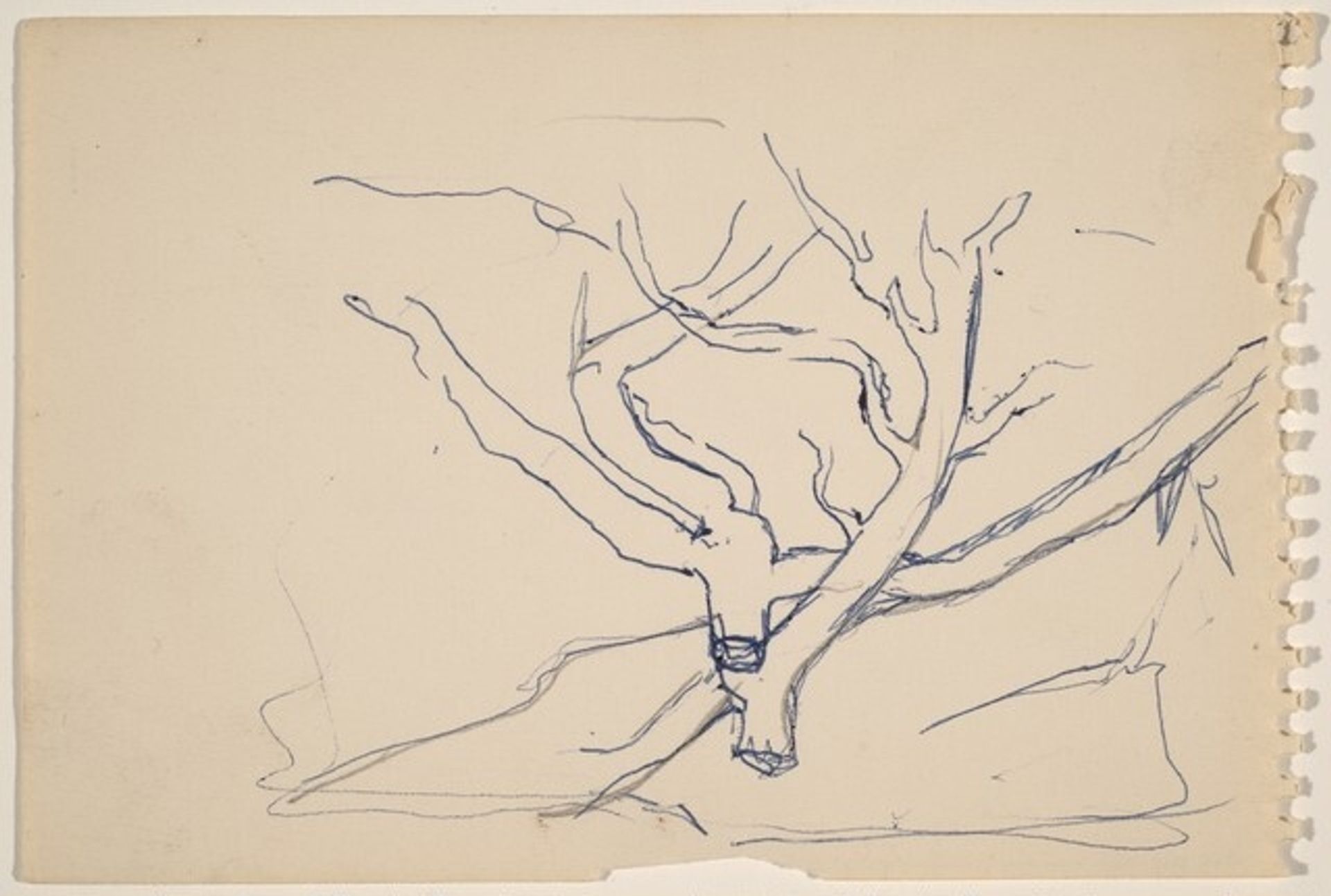 Study of a Dead Tree by Louis Lozowick