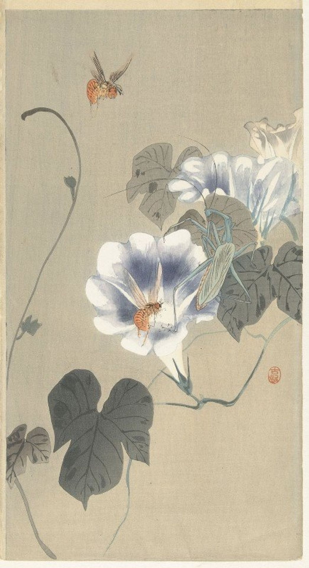 Insects at bindweed by Ohara Koson