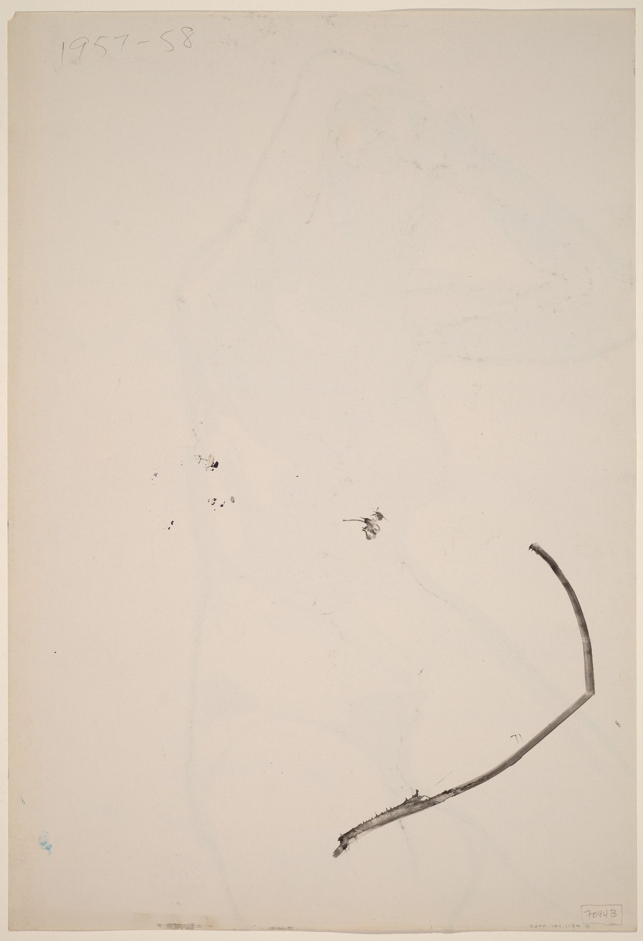 Untitled [line study] [verso] by Richard Diebenkorn