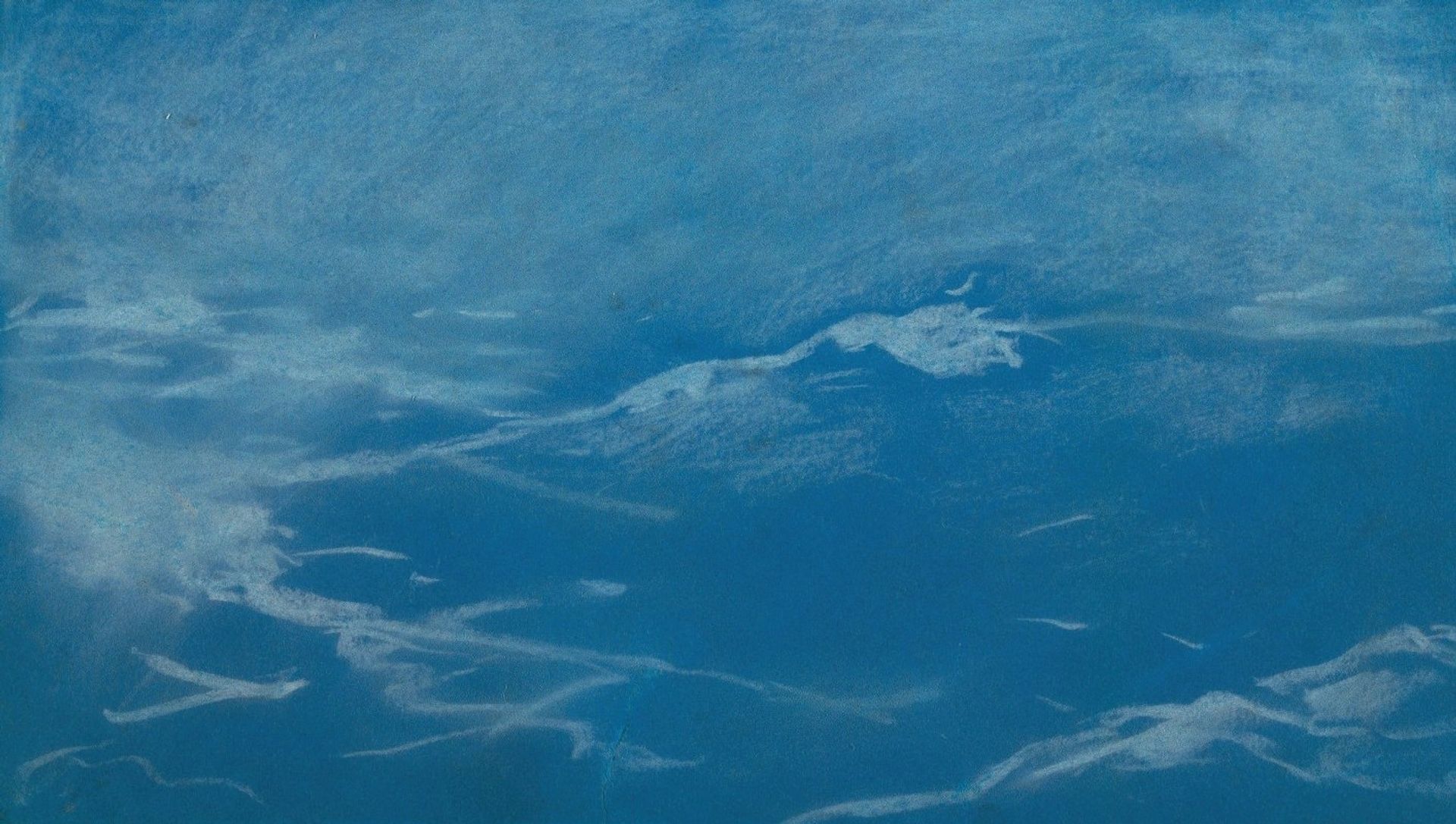Seagull And Waves, Probably Prout’s Neck, Maine by Winslow Homer