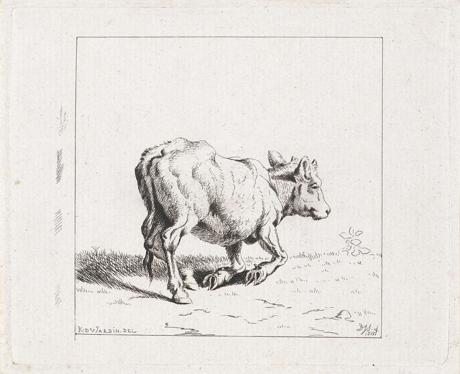Zich oprichtend kalf by Diederik Jan Singendonck