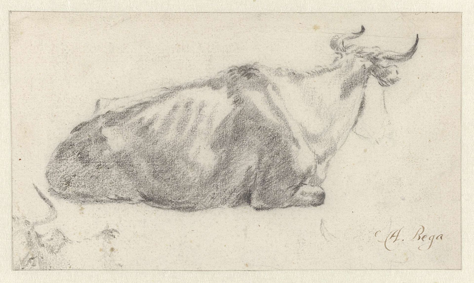 Recumbent Cow Facing Right, with Fragment of a Cow’s Head by Abraham Jansz. Begeyn
