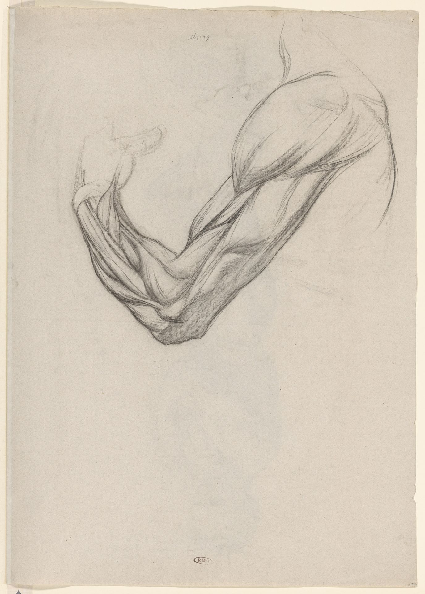 Anatomische studie van de spieren van een rechterarm by Jan Veth