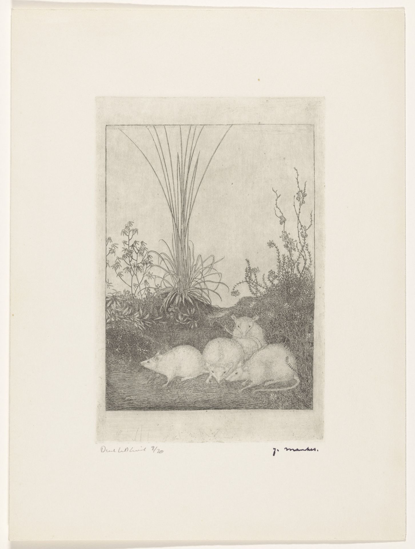 Vier muizen by Jan Mankes