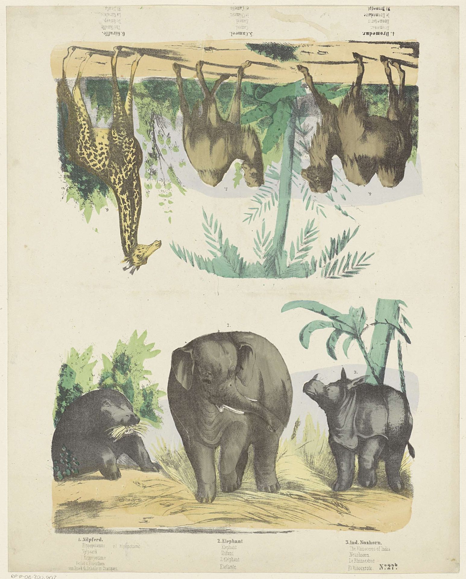 Wilde dieren by Friedrich Gustav Schulz