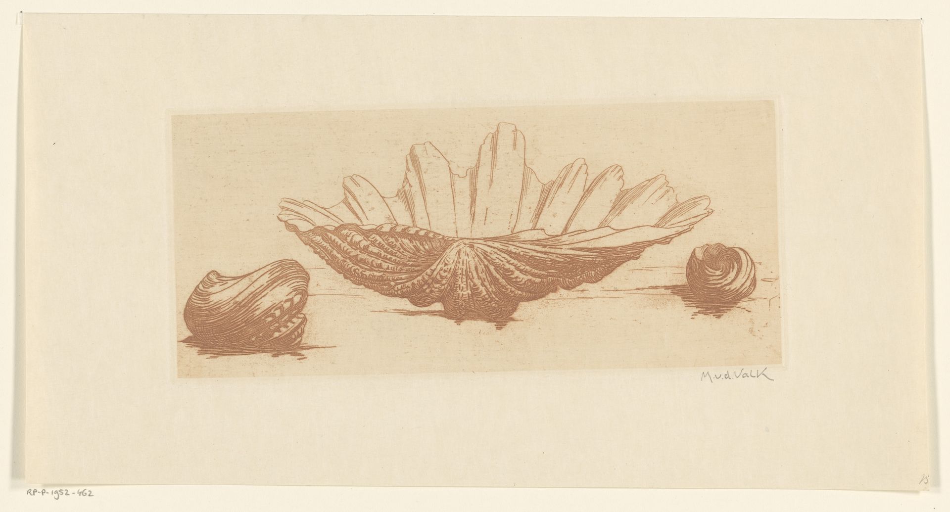 Drie schelpen by Maurits van der Valk