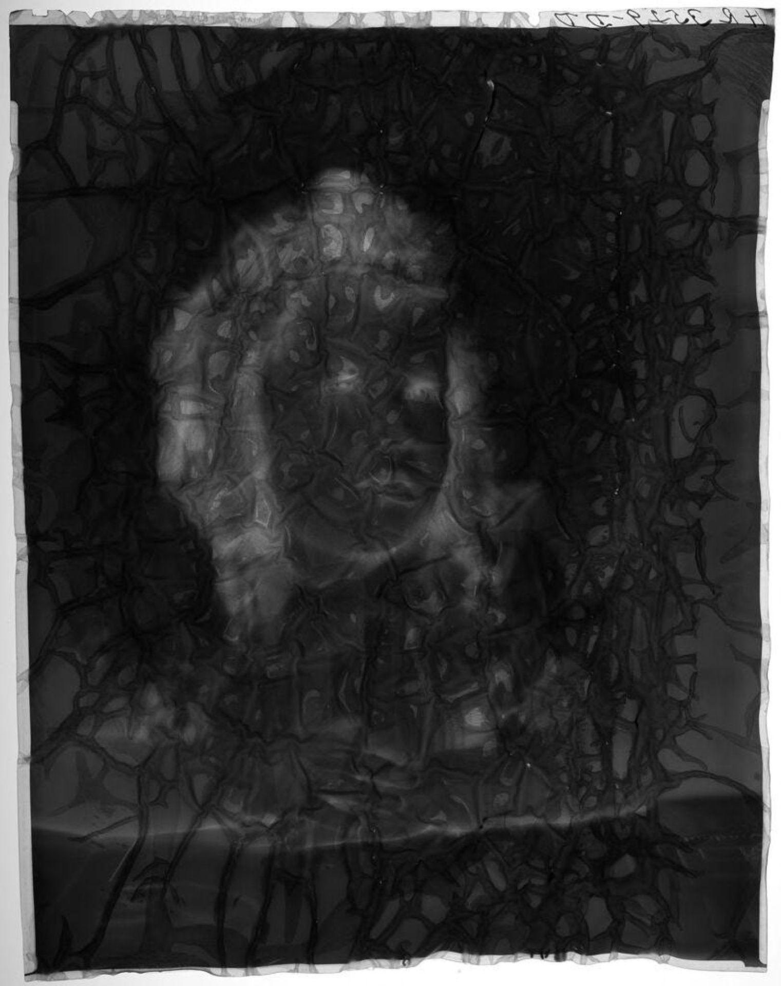Untitled (portrait of young woman) by Paul Gittings