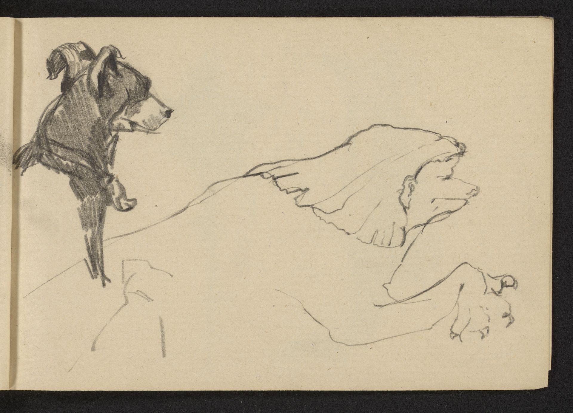 Kop van een hond en liggend dier met uitgestrekte poot by Reinier Willem Petrus de (1874-1952) Vries