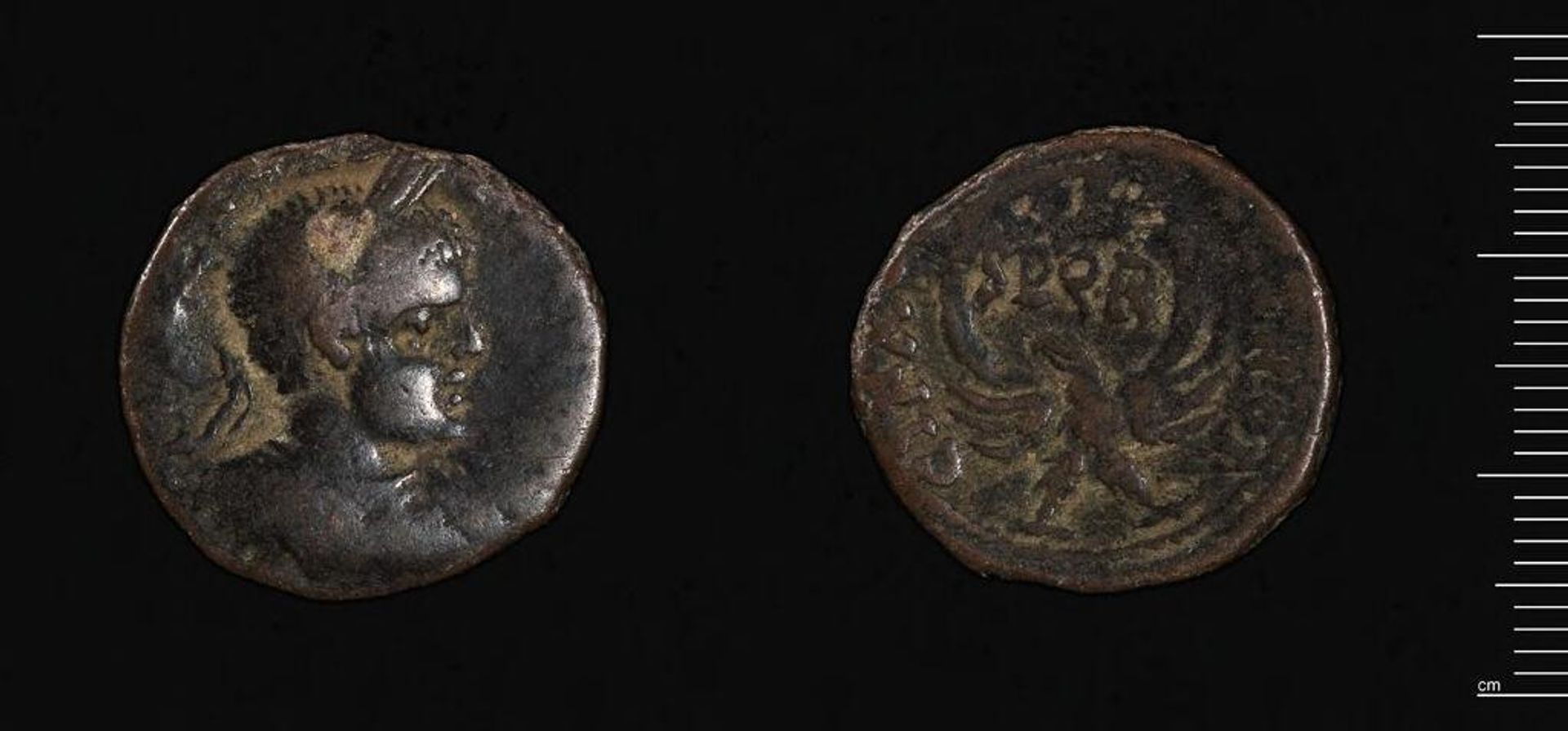 Coin of Caesarea Maritima under Severus Alexander by Severus Alexander