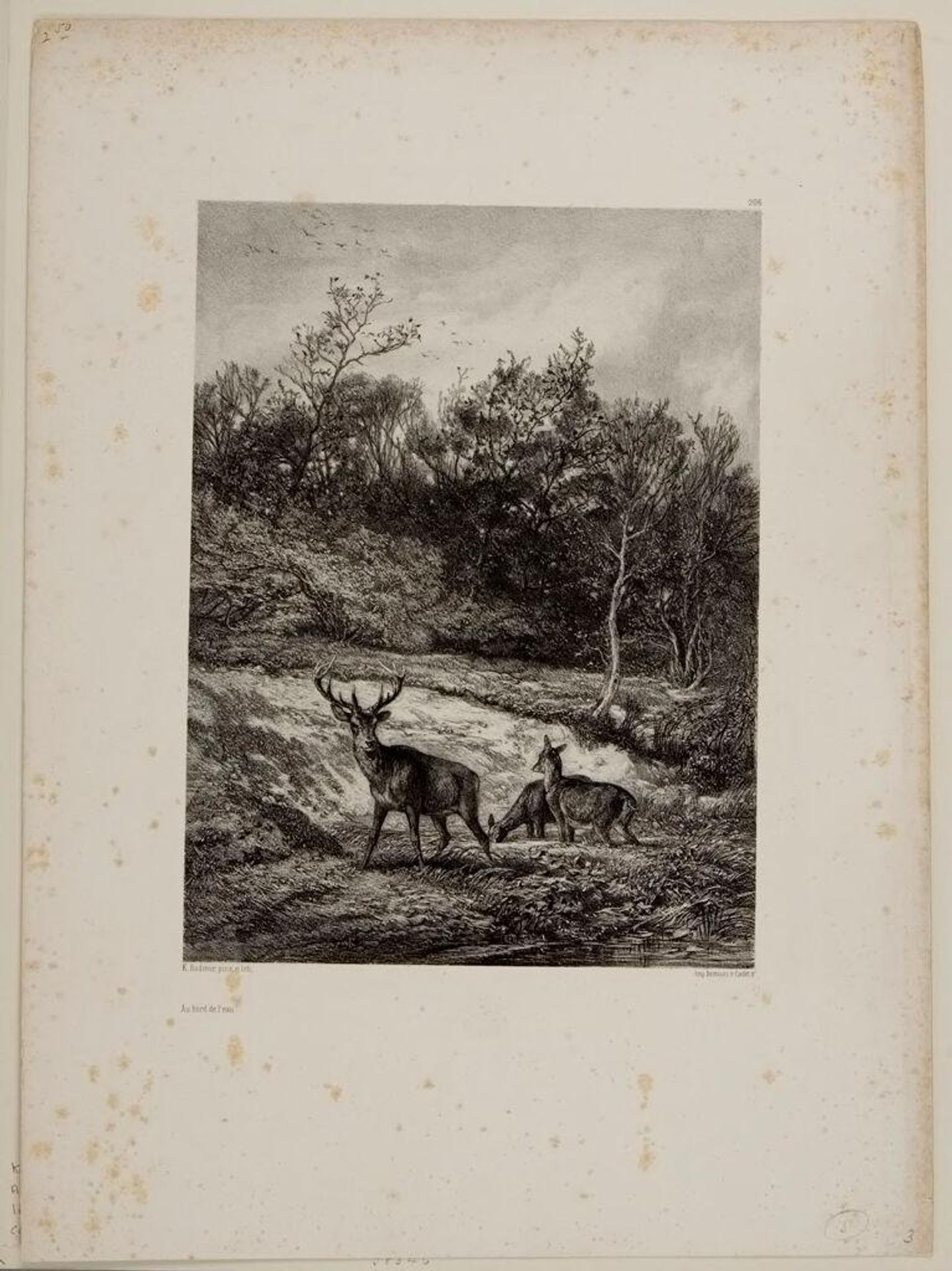 Along the Water by Karl Bodmer