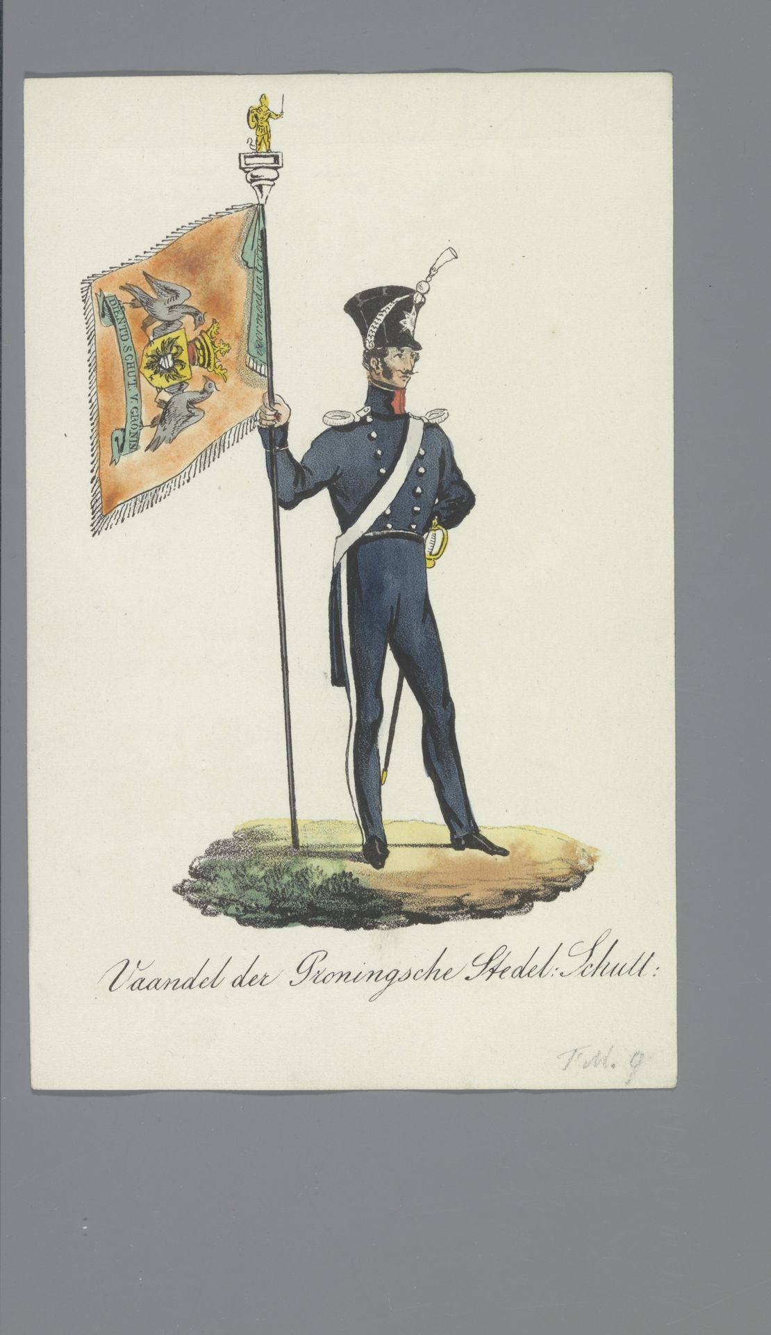 Vaandel der Groningsche Stedel: Schutt: by Albertus Verhoesen