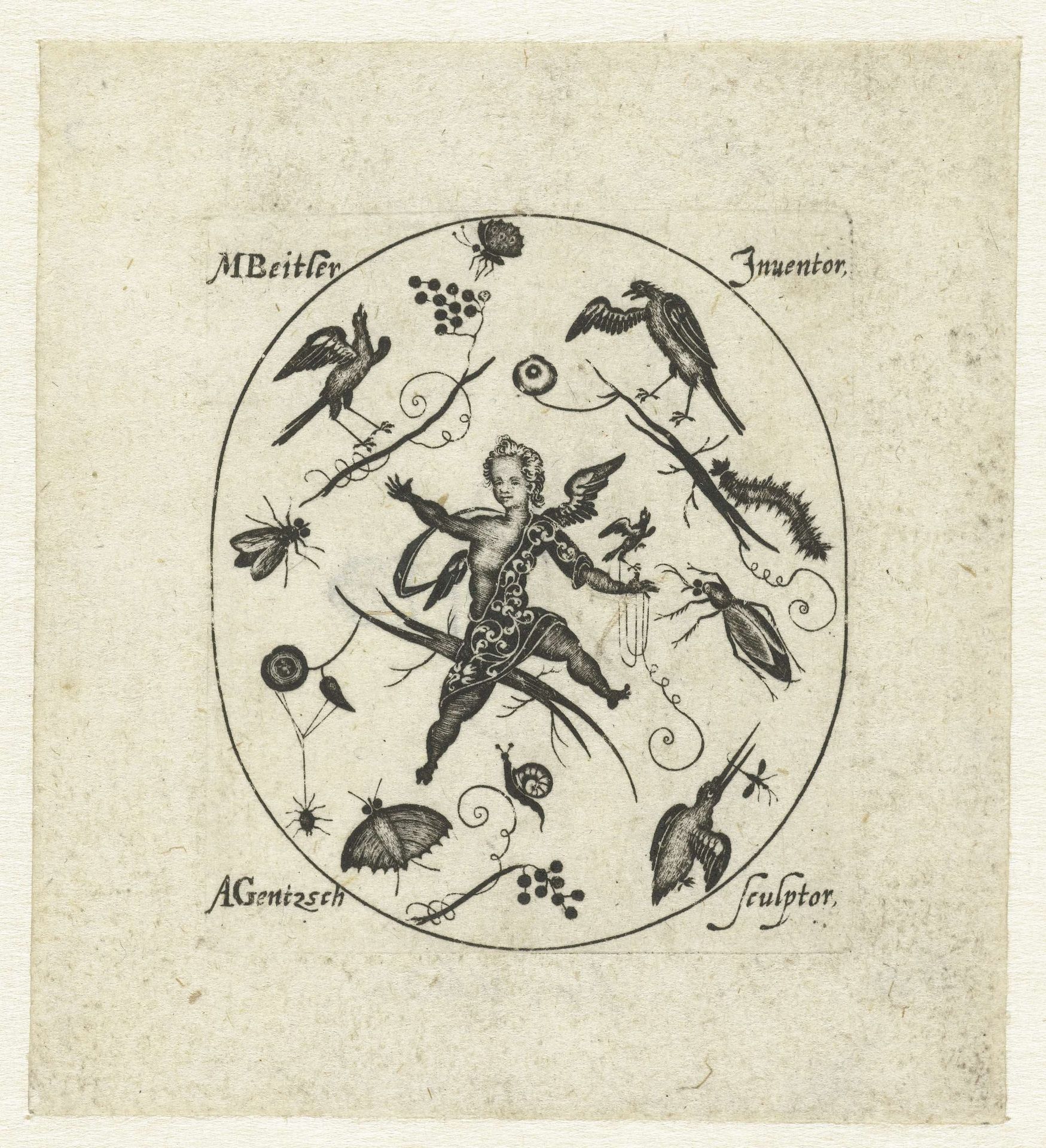Ovaal met putto omringd door vogels, vlinders en insecten by Andreas Gentzsch