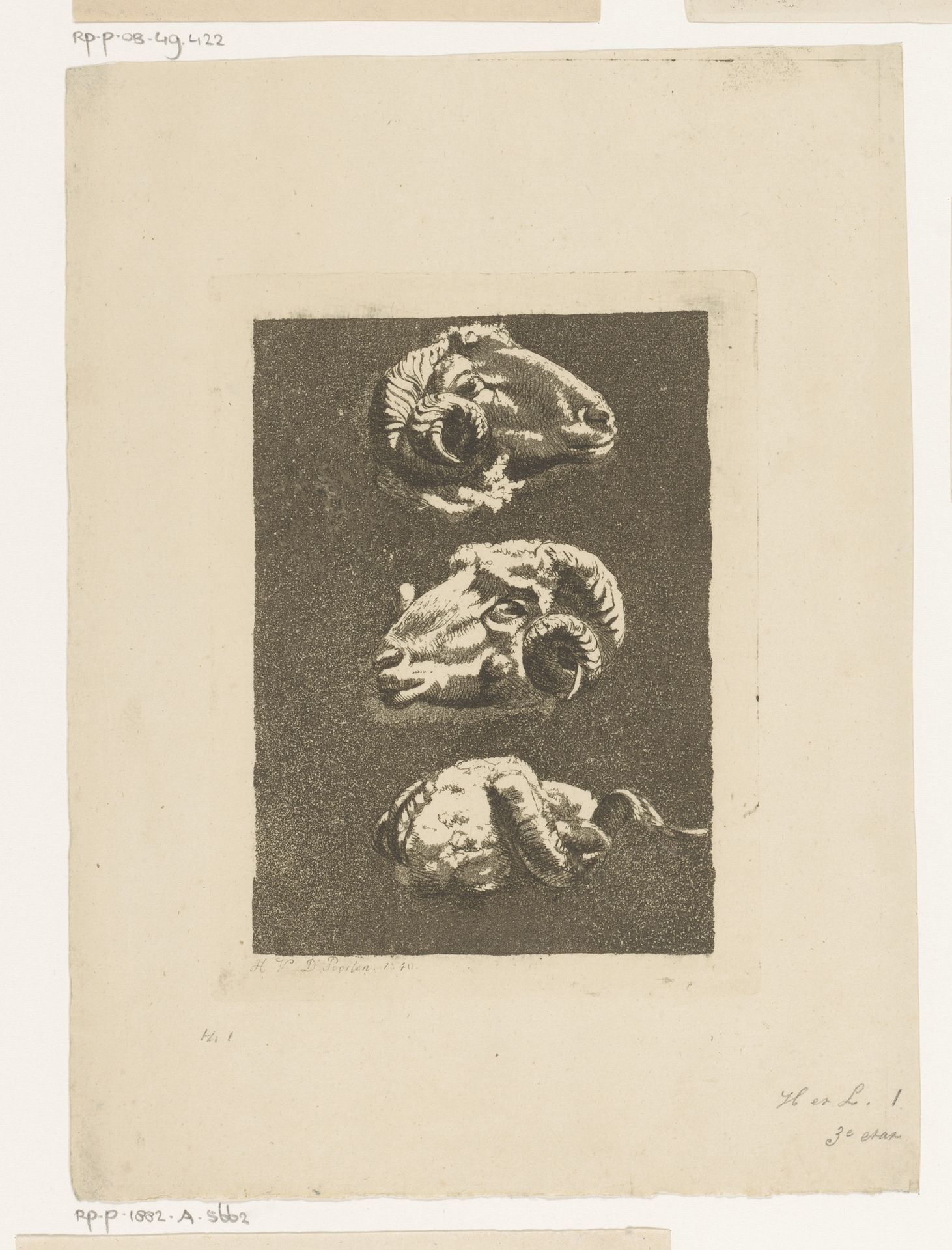 Drie ramskoppen by Hendrik Jozef Franciscus van der Poorten