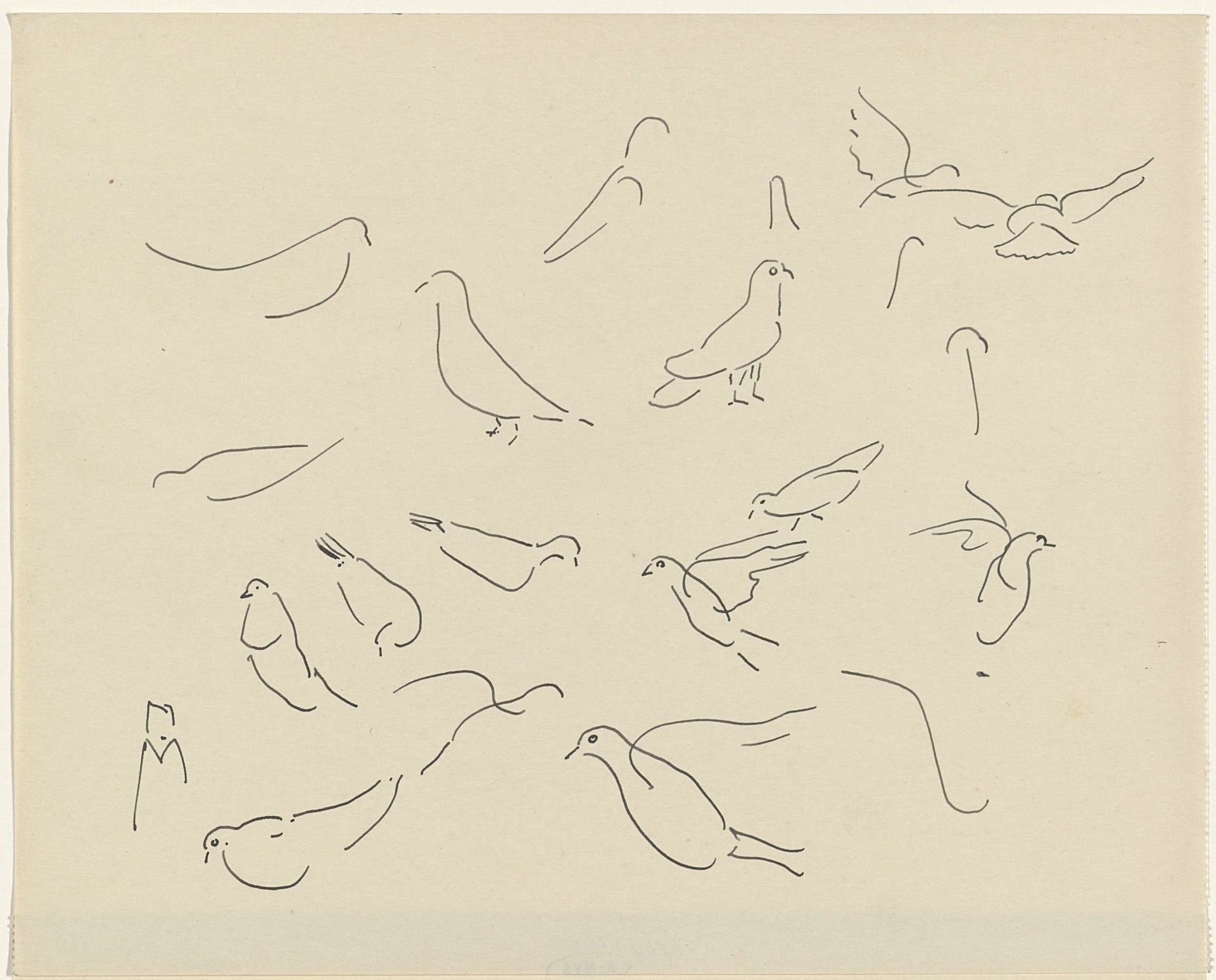 Studies van duiven by Carel Adolph Lion Cachet