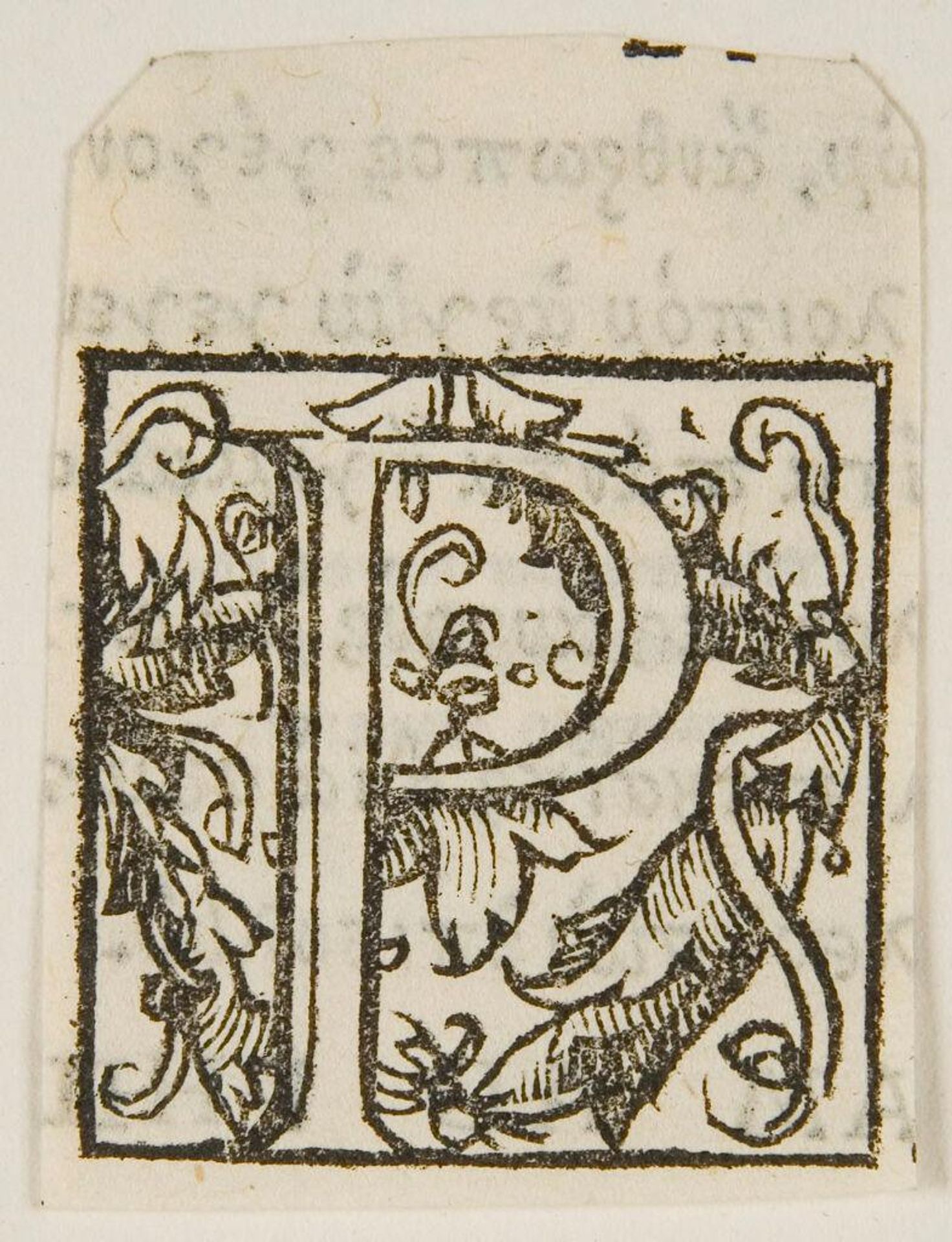 Letter P by Anonymous
