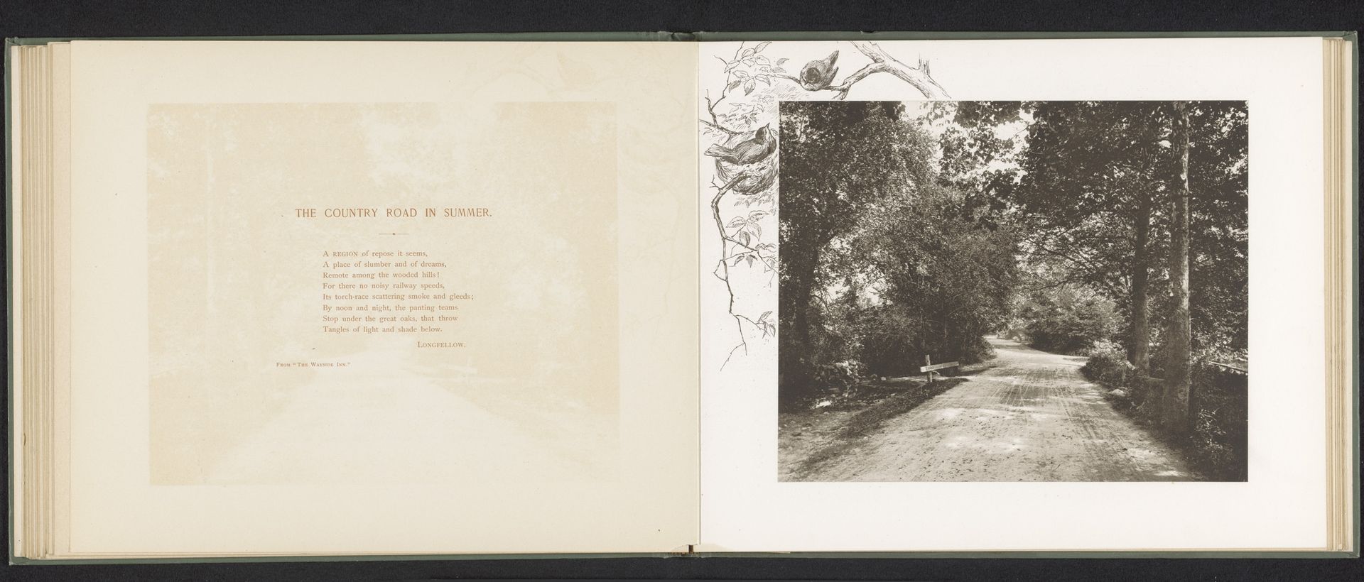 Gezicht op een weg met bomen in New England by Anonymous