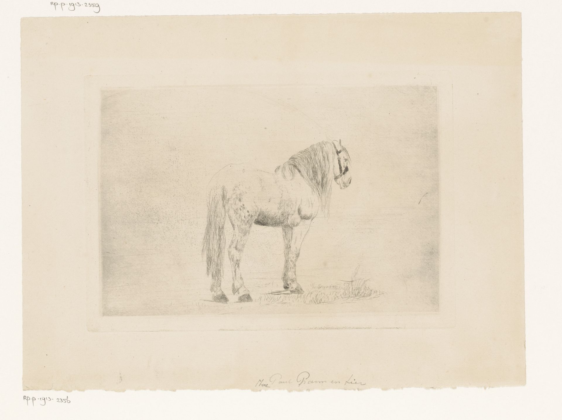 Paard by Paul Parmentier