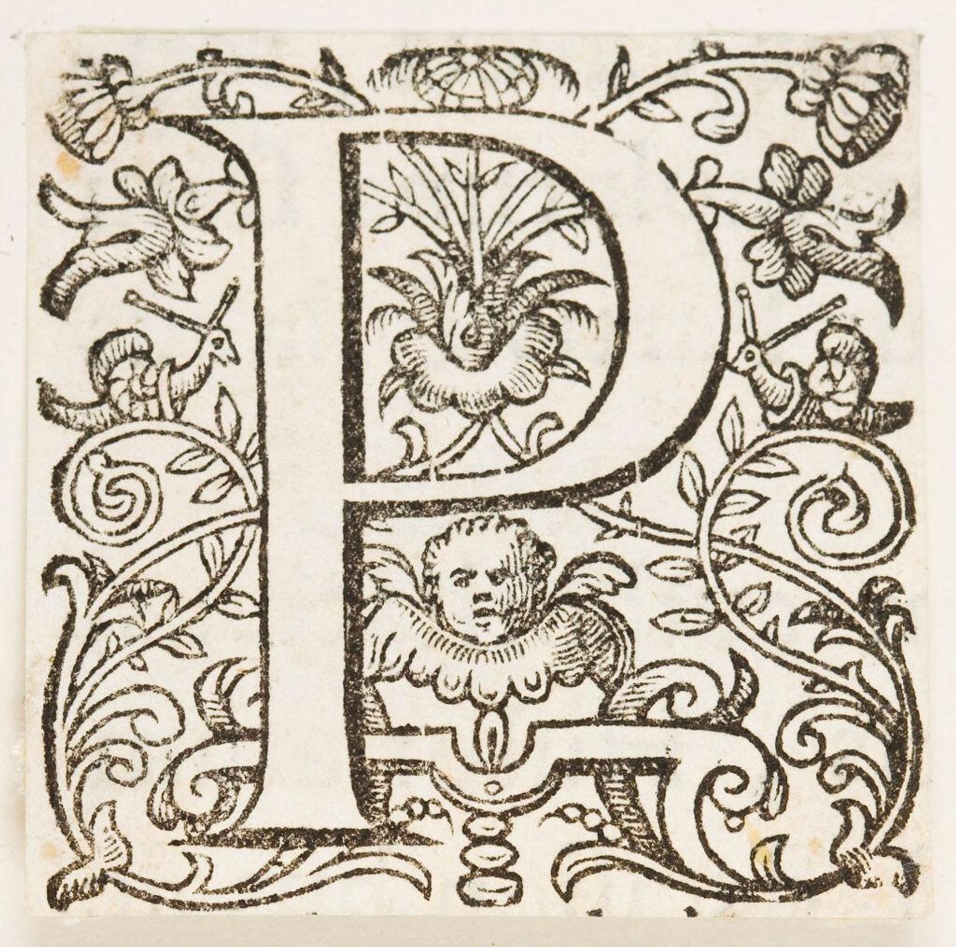 Initial P by Anonymous