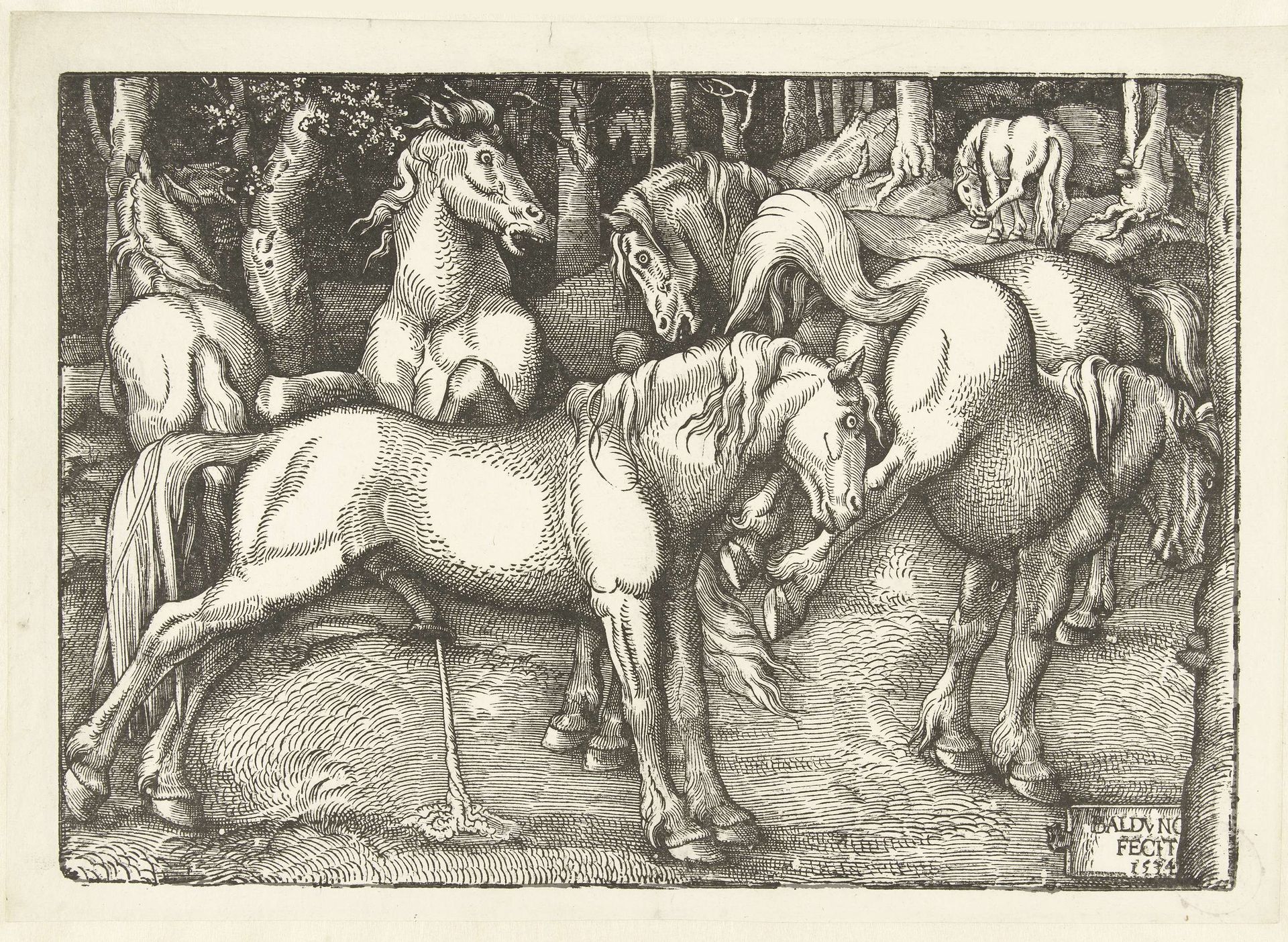 Groep van zes vechtende paarden by Hans Baldung