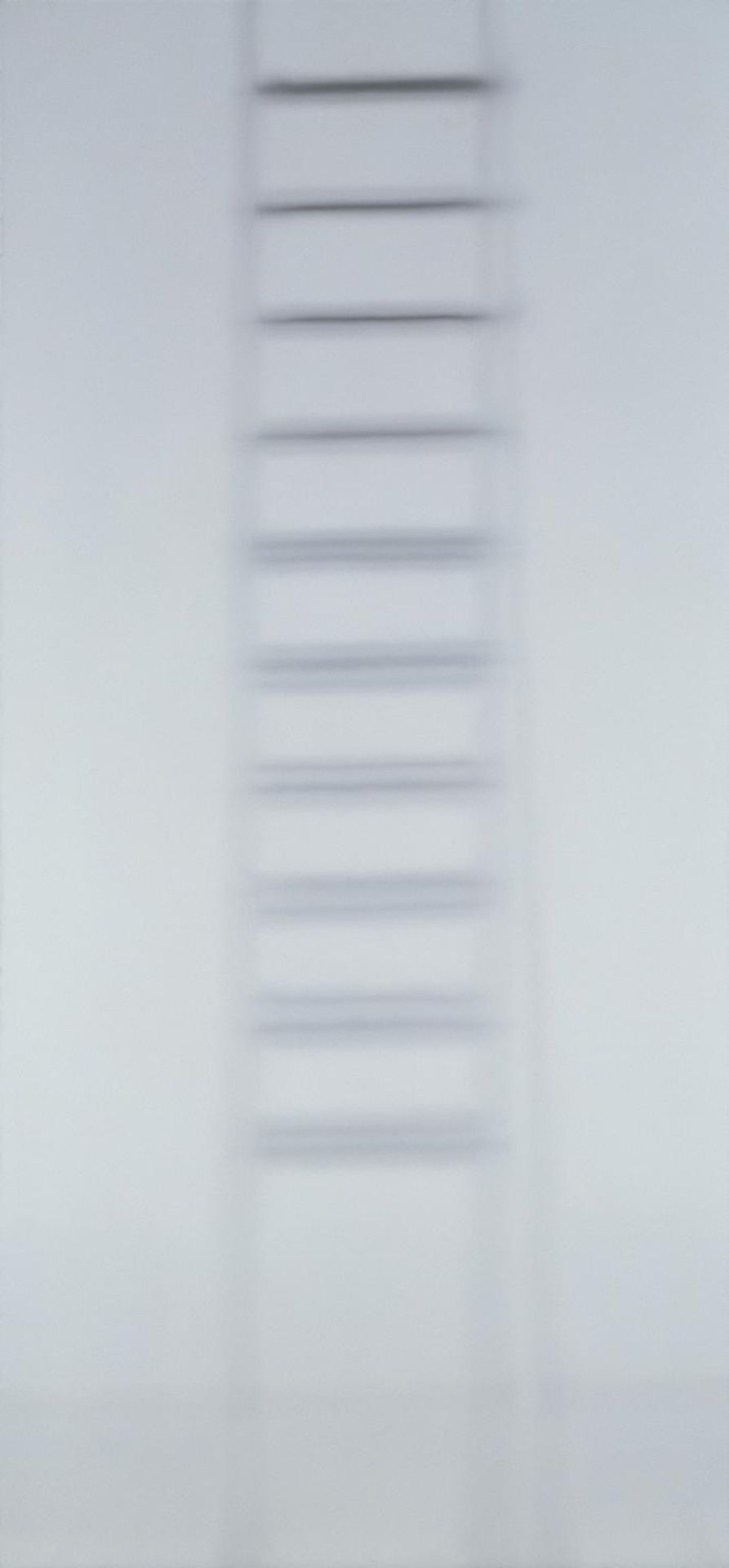 Ladder by  Brad Lochore