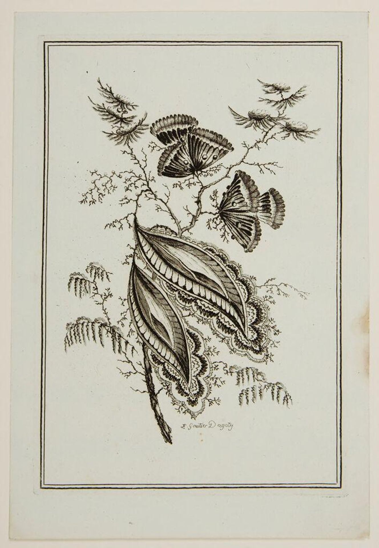 Ideal Flowers: sprig with 2 moth-like flowers and 2 large lacy leaves. Chinoiserie floral print design, Louis XVI period, late 18th century. Indienne fabric pattern, Oberkampf printworks at Jouy by Arnauld-Ãloi Gautier D'Agoty