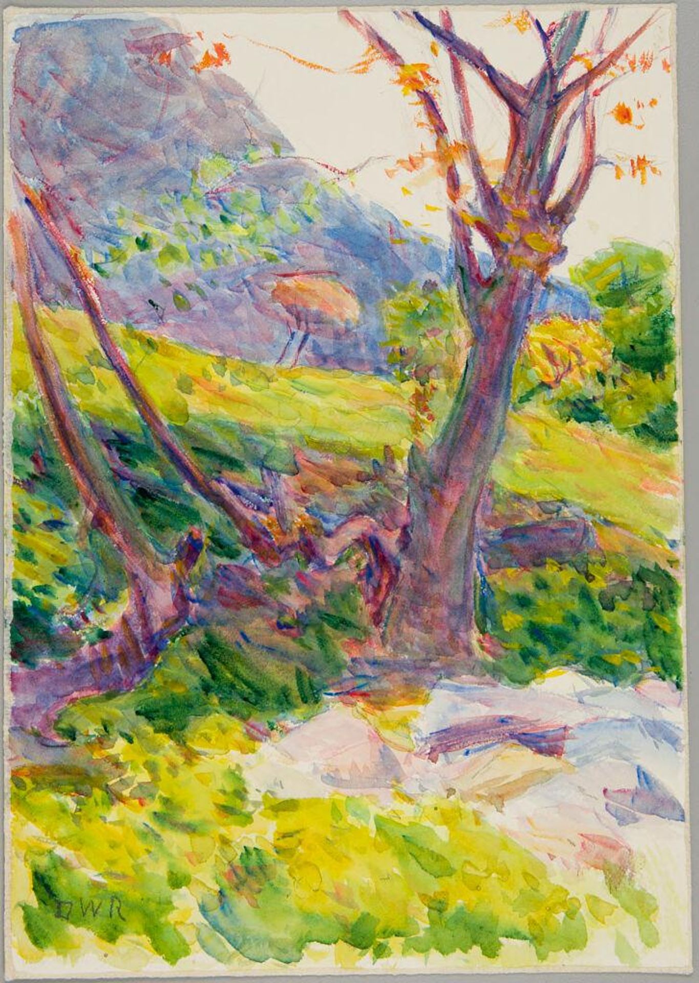 Landscape with Tree, Orizaba, Mexico by Denman Waldo Ross