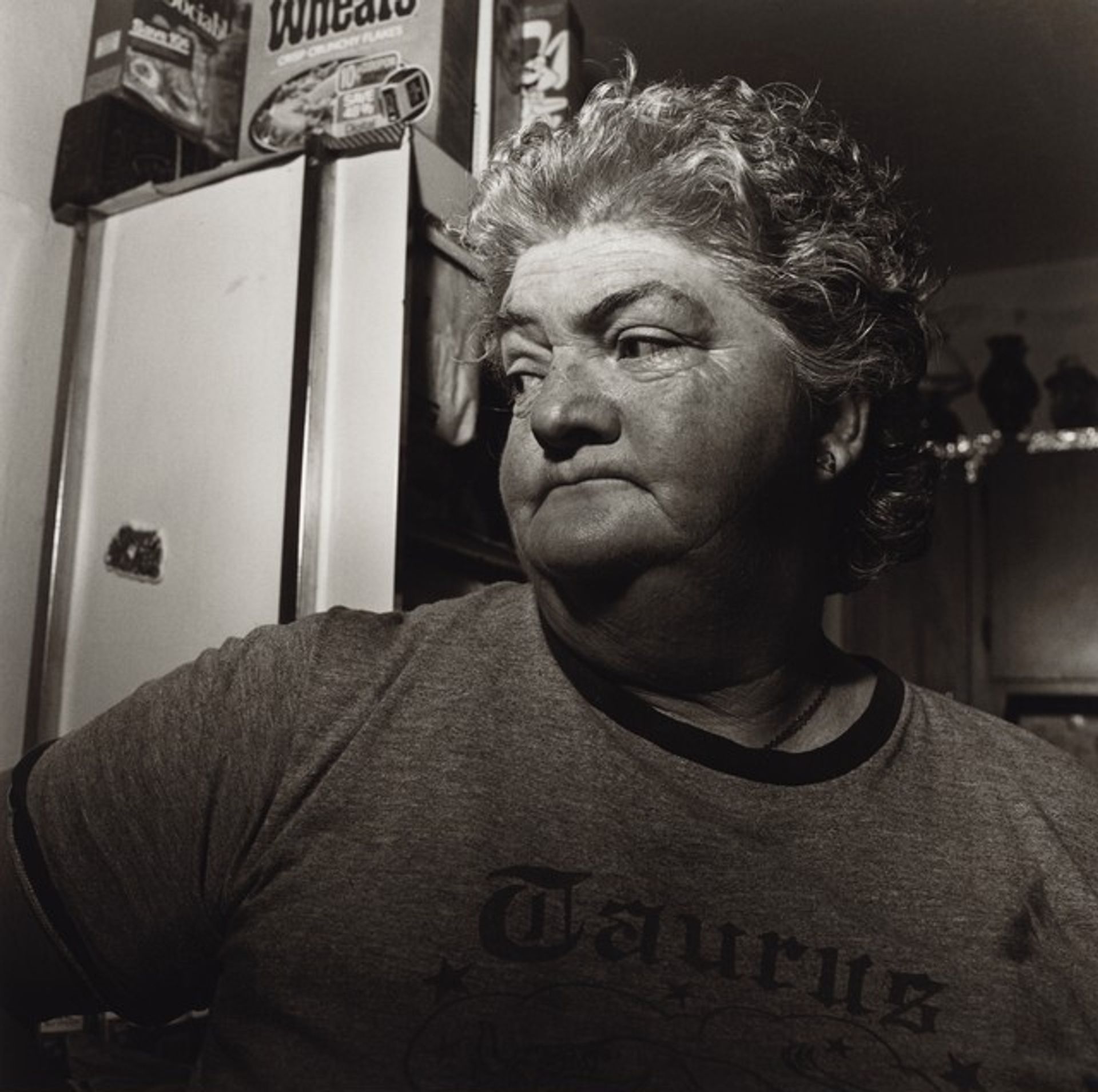 Pat Sabatine's Twelfth Birthday Party, Martins Creek, Pennsylvania by Larry Fink