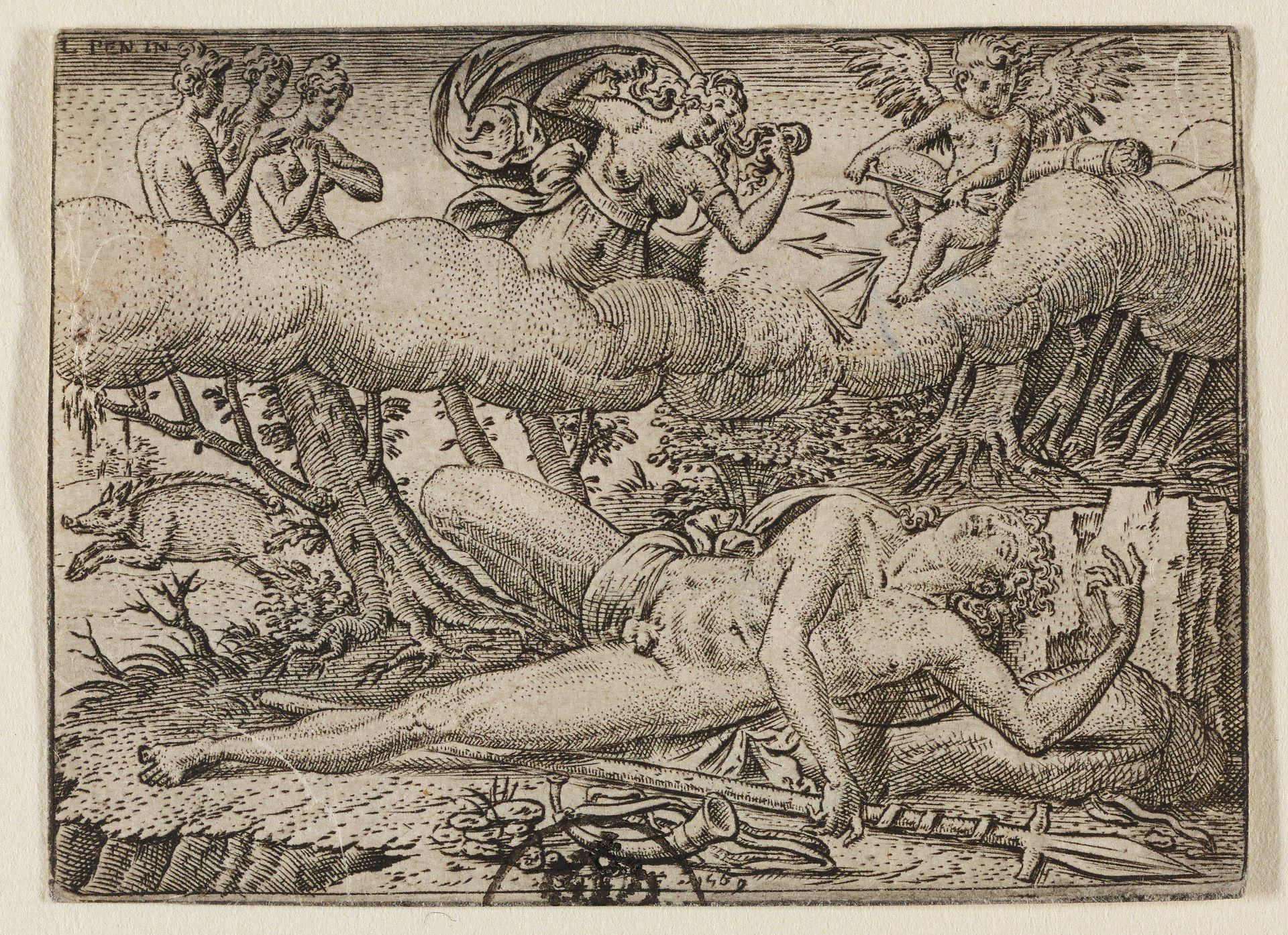 Venus by Etienne Delaune