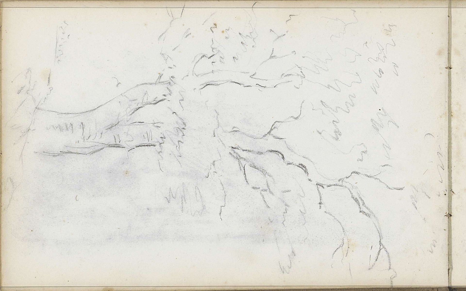 Boom by Willem Cornelis Rip