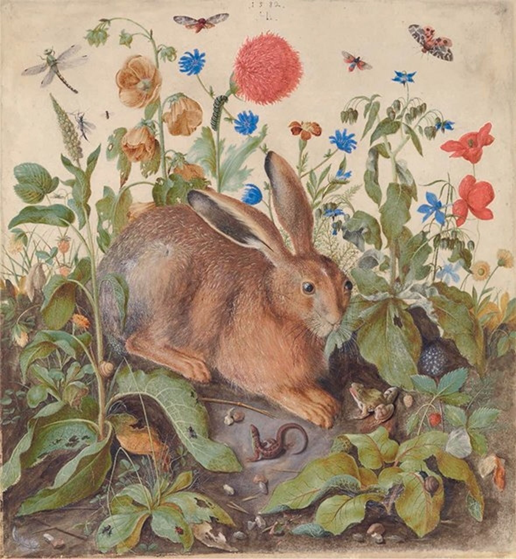 Hare by Hans Hoffmann